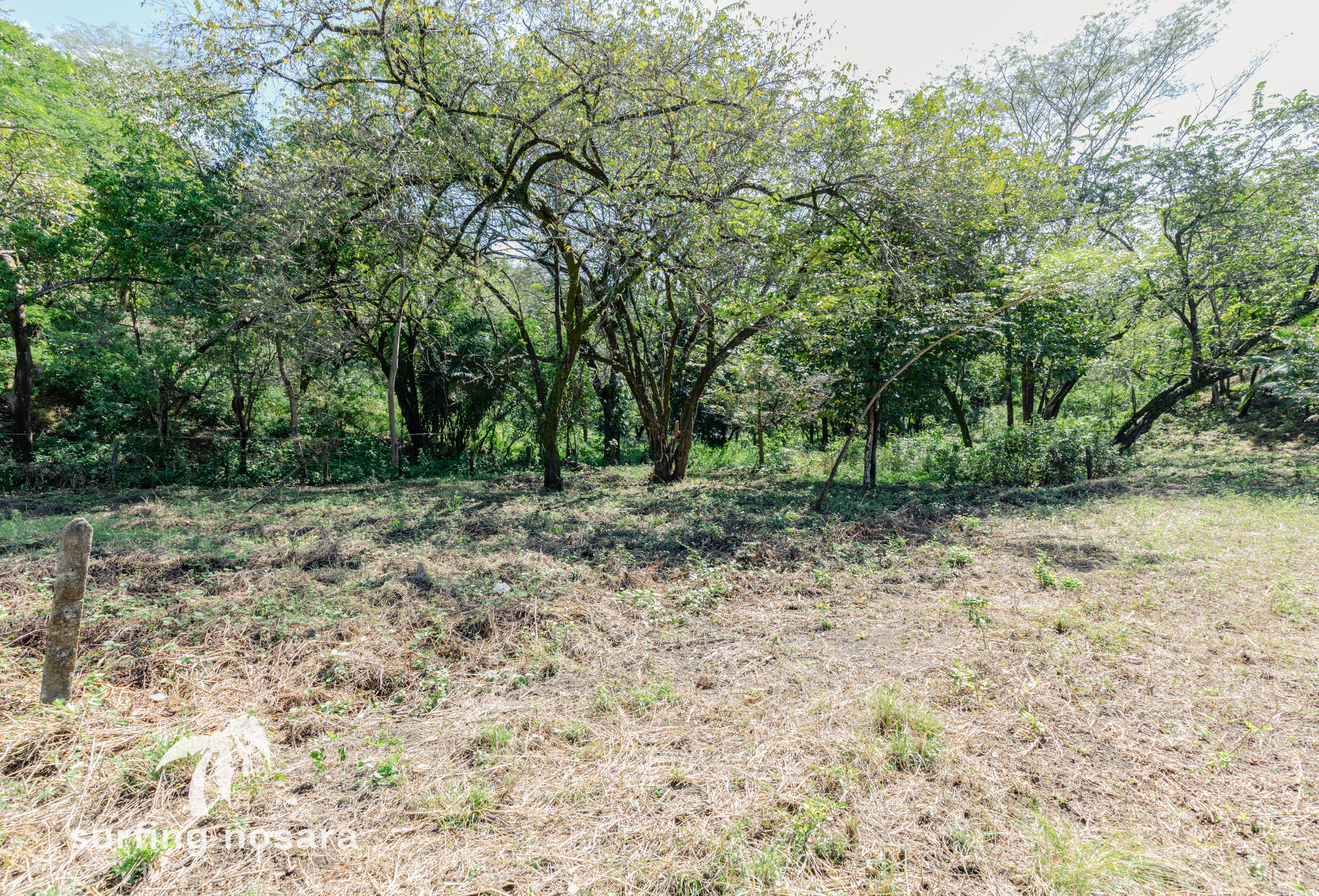 0 bed Land For Sale in Nosara, Guanacaste - thumb 4