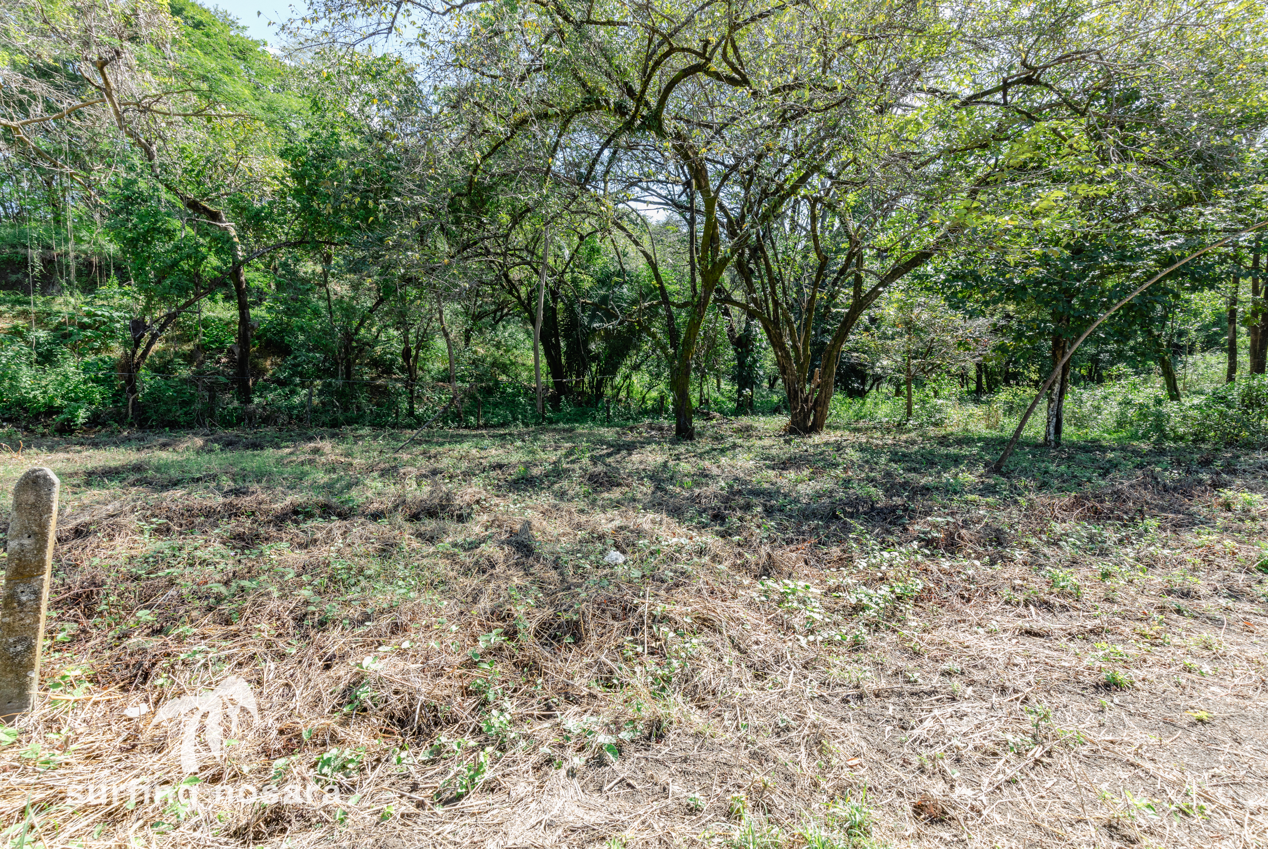 0 bed Land For Sale in Nosara, Guanacaste - thumb 5