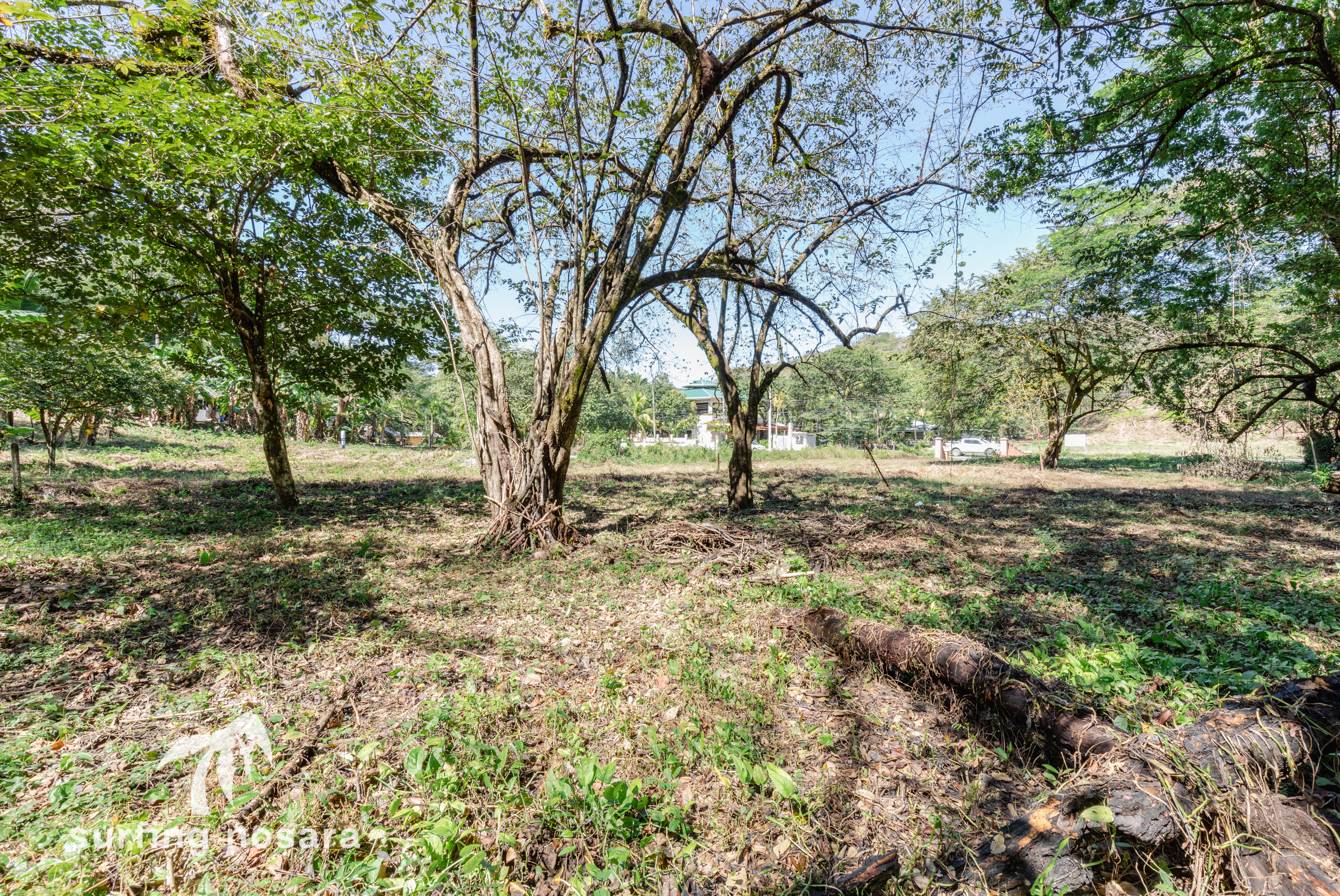 0 bed Land For Sale in Nosara, Guanacaste - thumb 2