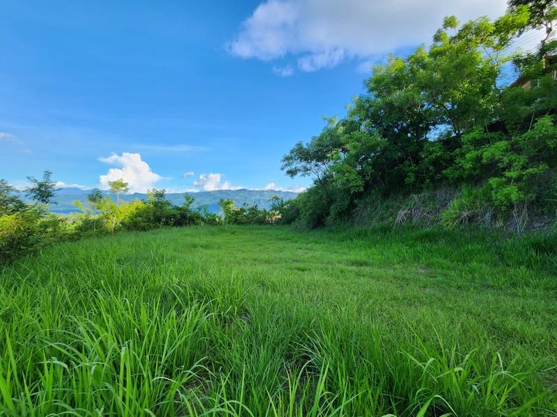 0 bed Land For Sale in Atenas, Alajuela - 1