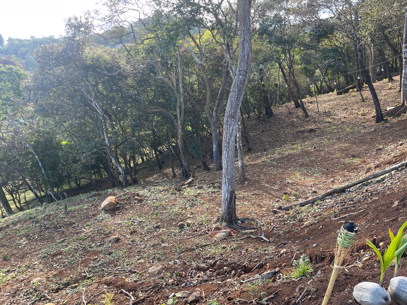 0 bed Land For Sale in Atenas, Alajuela - thumb 5