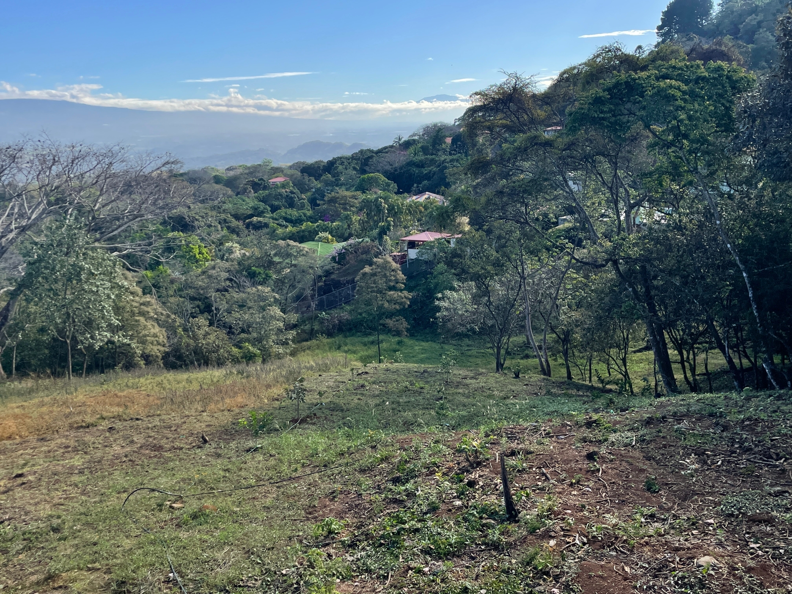 0 bed Land For Sale in Atenas, Alajuela - thumb 1