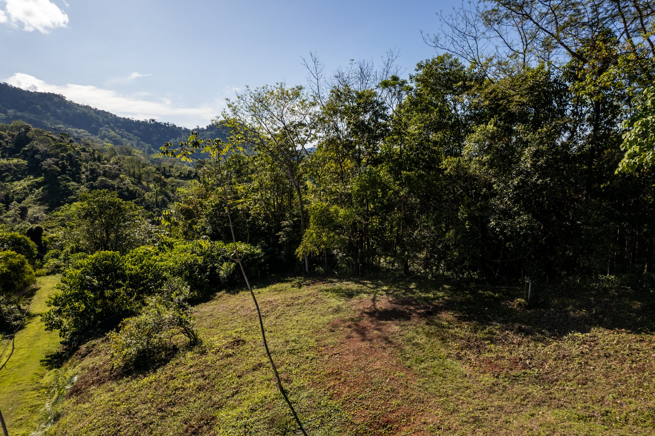 0 bed Land For Sale in Ojochal, Puntarenas - thumb 11