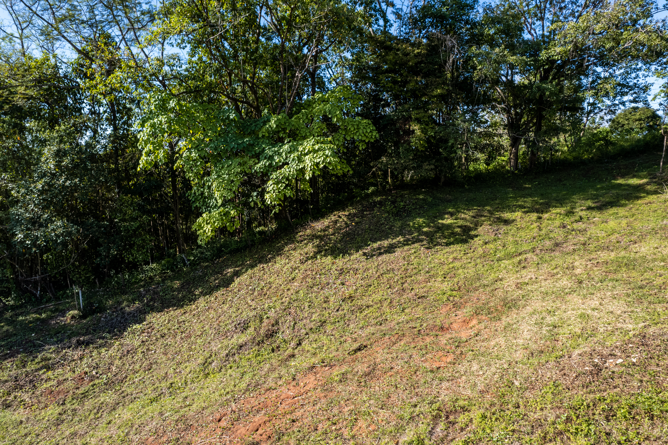 0 bed Land For Sale in Ojochal, Puntarenas - thumb 10