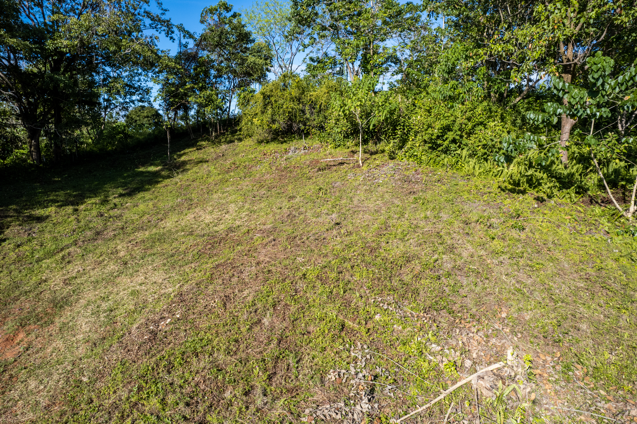 0 bed Land For Sale in Ojochal, Puntarenas - thumb 9