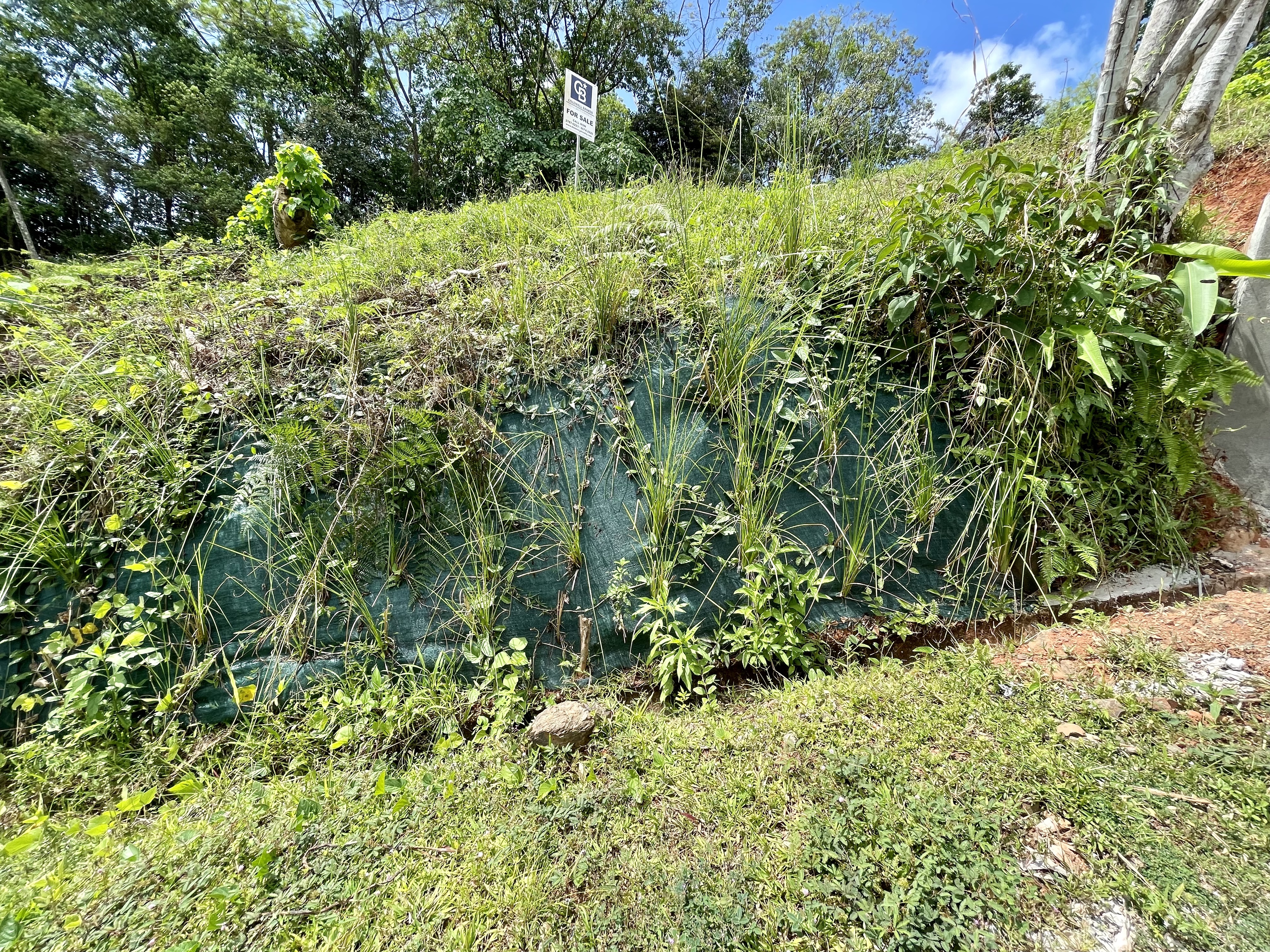 0 bed Land For Sale in Ojochal, Puntarenas - thumb 20