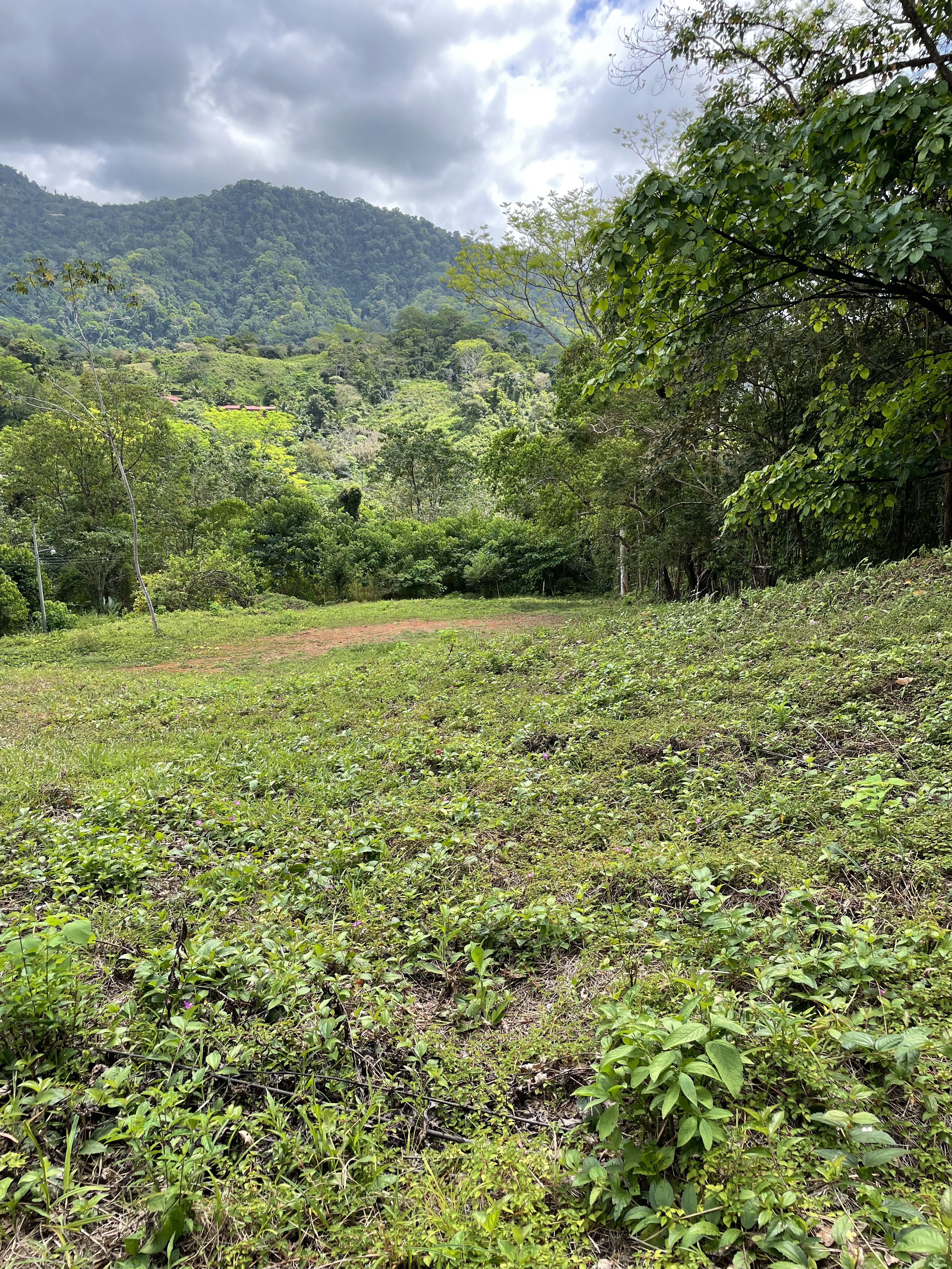 0 bed Land For Sale in Ojochal, Puntarenas - thumb 21