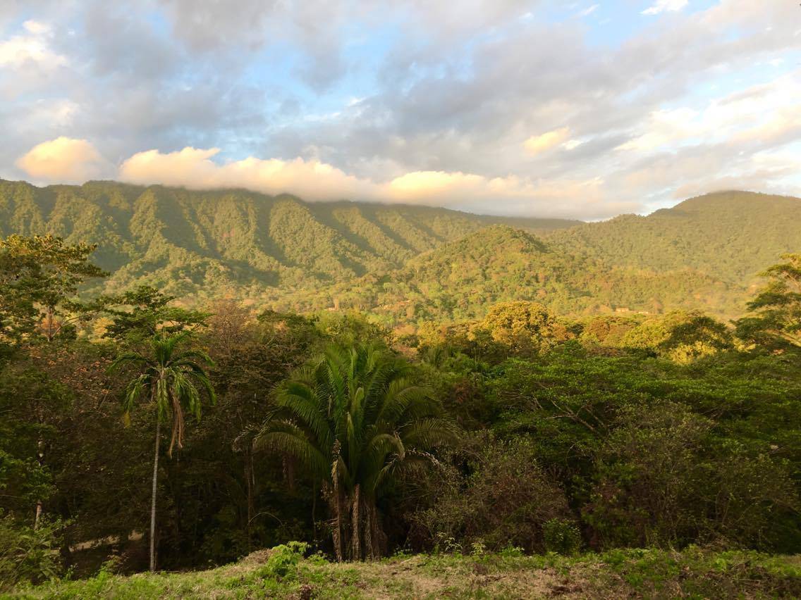 0 bed Land For Sale in Ojochal, Puntarenas - thumb 11