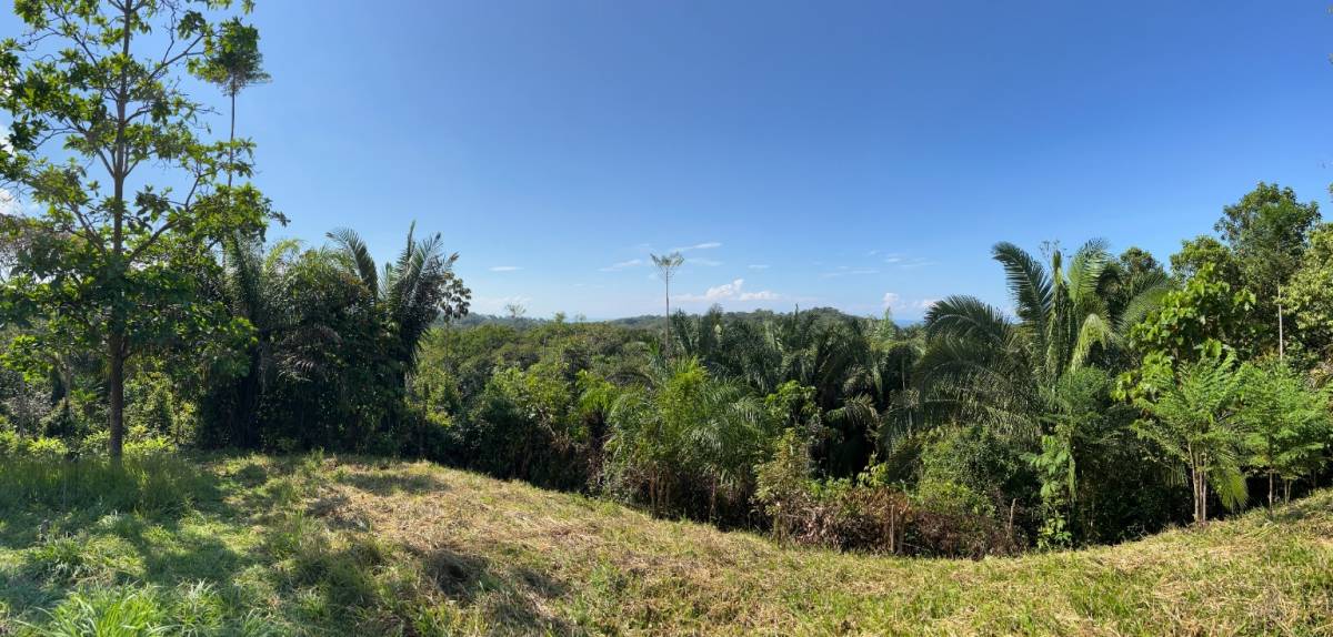 0 bed Land For Sale in Ojochal, Puntarenas - thumb 12