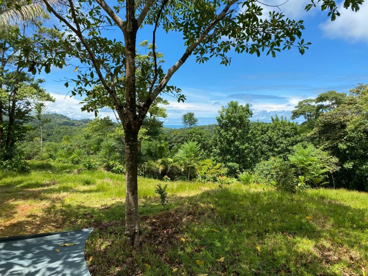 0 bed Land For Sale in Ojochal, Puntarenas - thumb 20