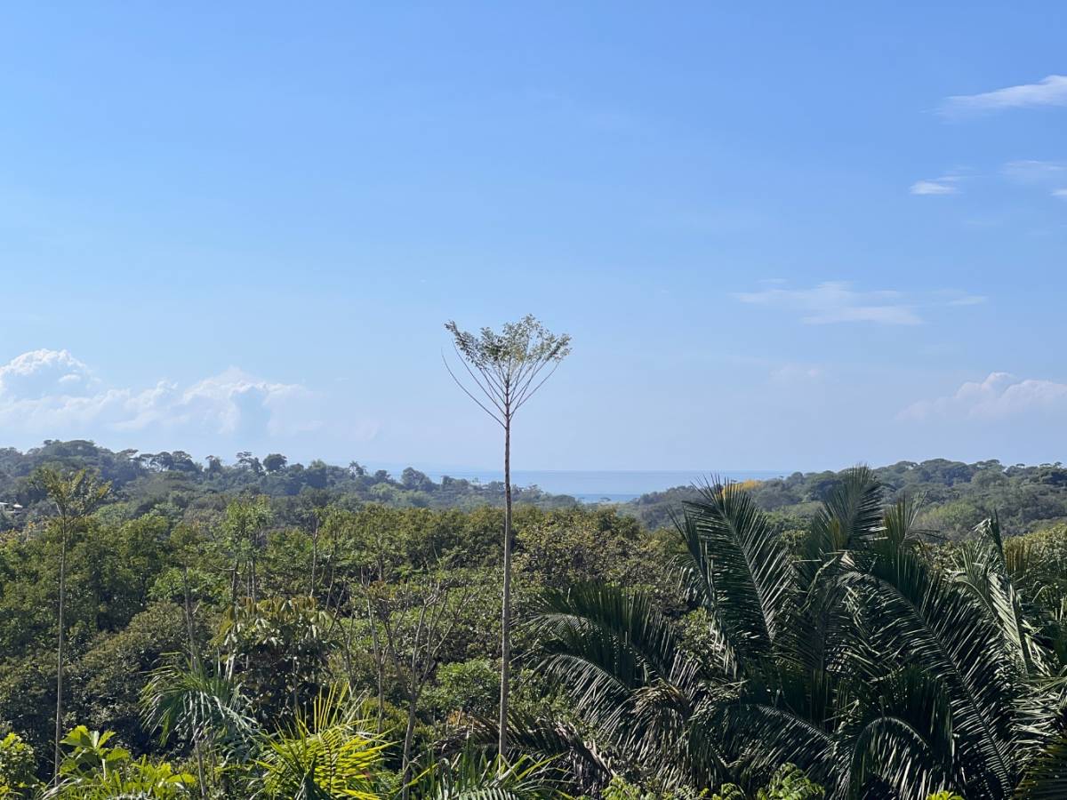0 bed Land For Sale in Ojochal, Puntarenas - thumb 21