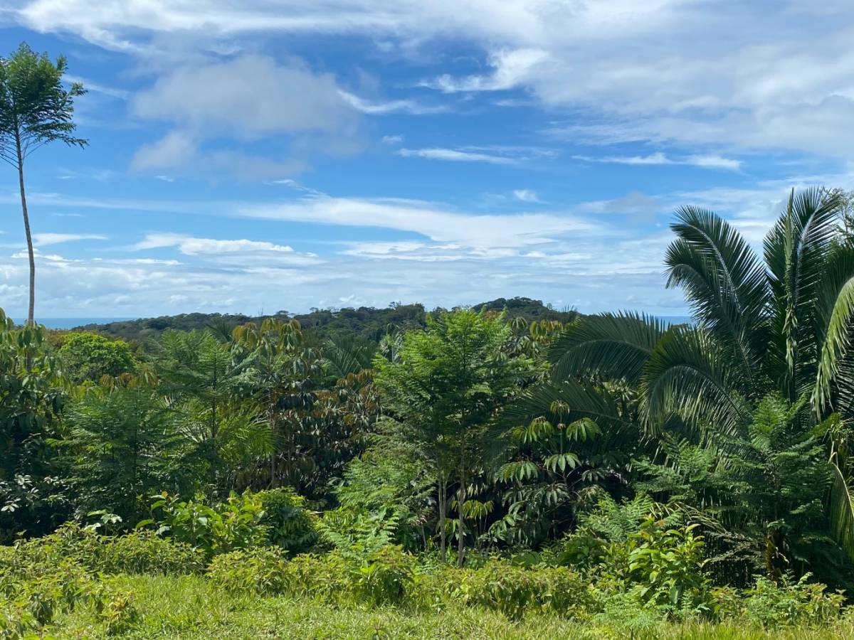 0 bed Land For Sale in Ojochal, Puntarenas - thumb 26