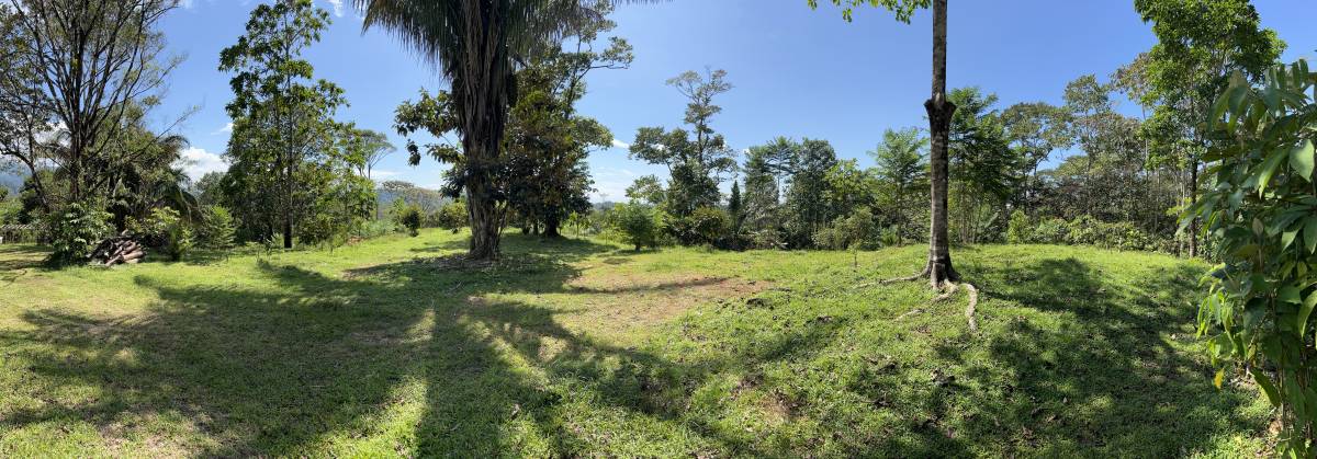 0 bed Land For Sale in Ojochal, Puntarenas - thumb 25