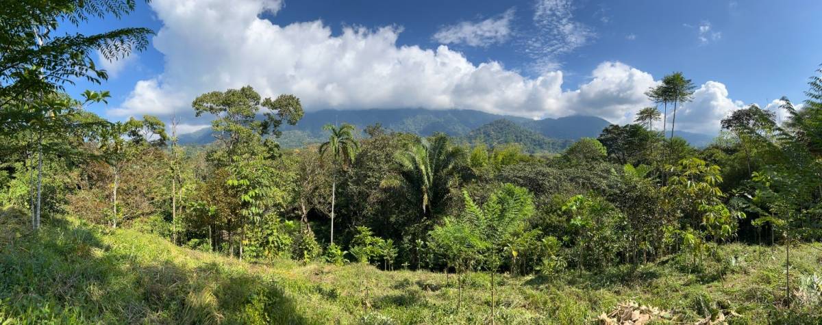 0 bed Land For Sale in Ojochal, Puntarenas - thumb 8