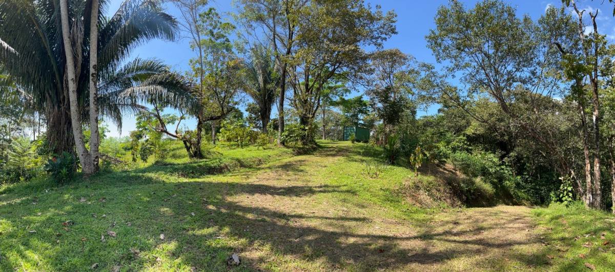 0 bed Land For Sale in Ojochal, Puntarenas - thumb 1