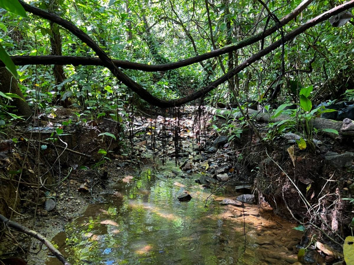 0 bed Land For Sale in Ojochal, Puntarenas - thumb 17