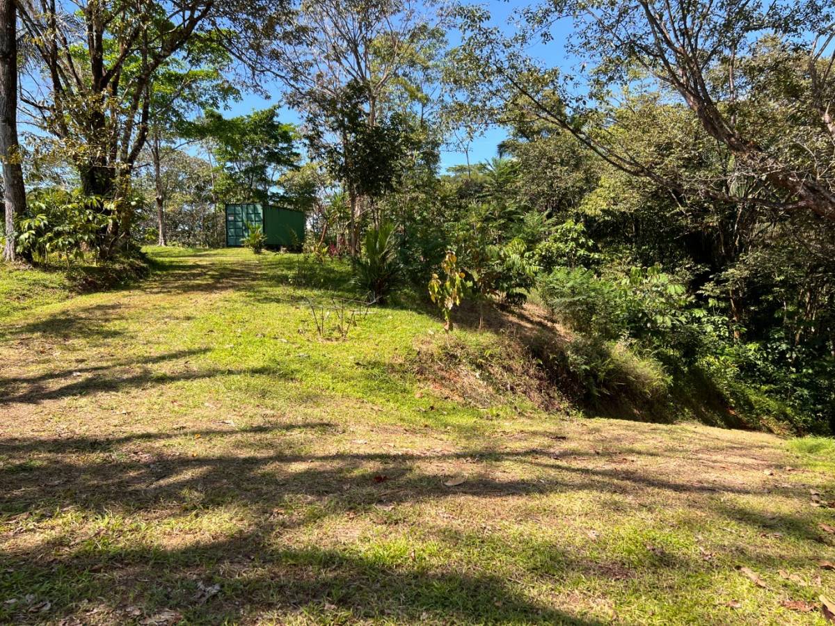 0 bed Land For Sale in Ojochal, Puntarenas - thumb 2