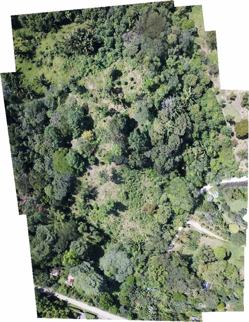 0 bed Land For Sale in Ojochal, Puntarenas - thumb 13