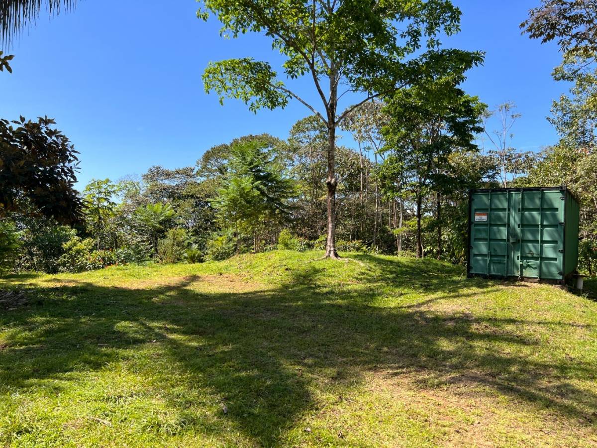 0 bed Land For Sale in Ojochal, Puntarenas - thumb 10