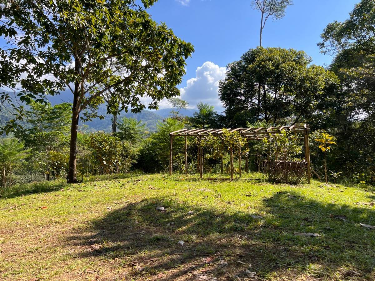 0 bed Land For Sale in Ojochal, Puntarenas - thumb 4