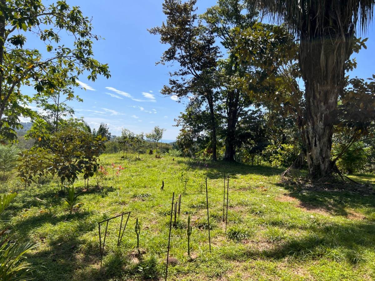 0 bed Land For Sale in Ojochal, Puntarenas - thumb 5