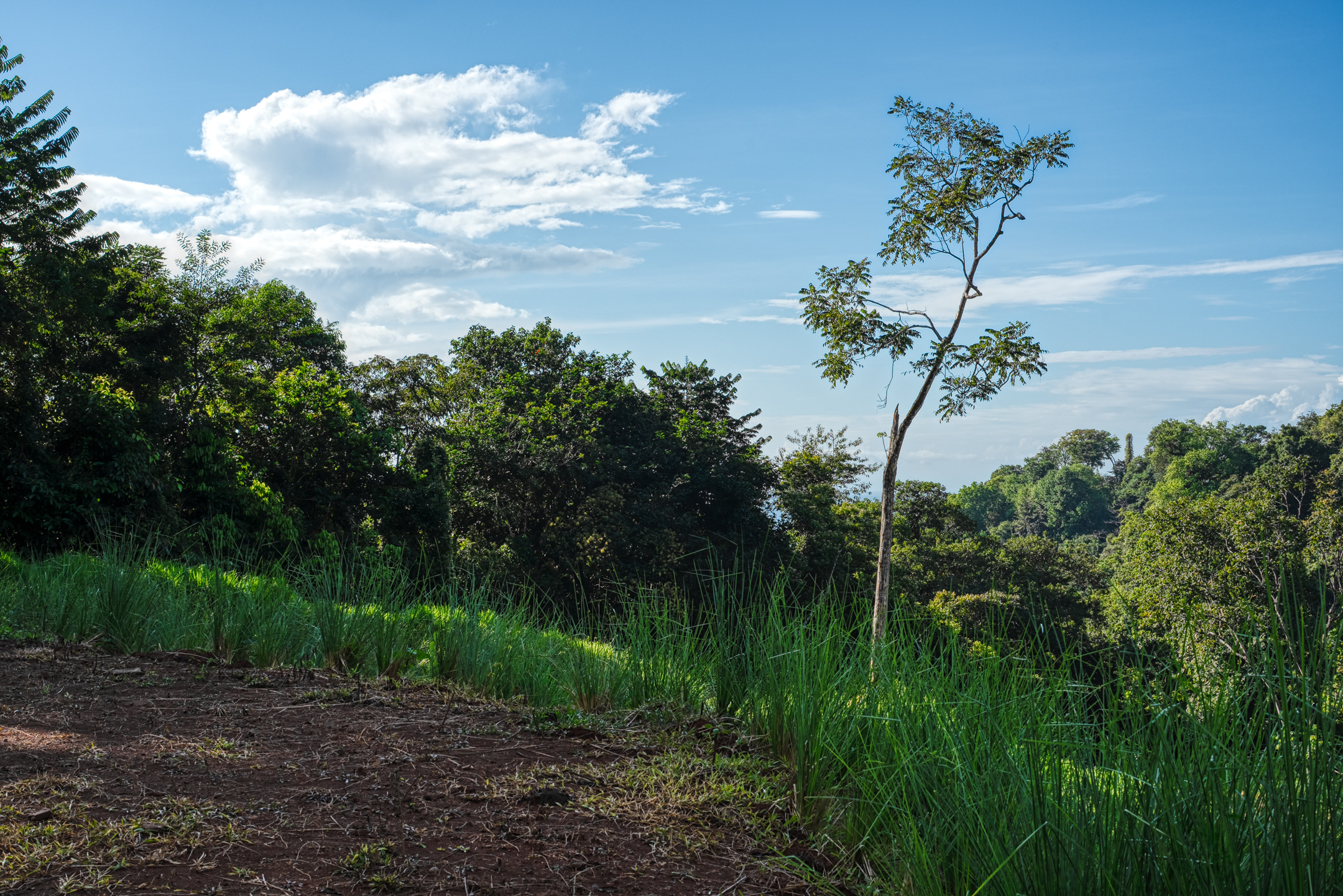 0 bed Land For Sale in Dominical, Puntarenas - thumb 26