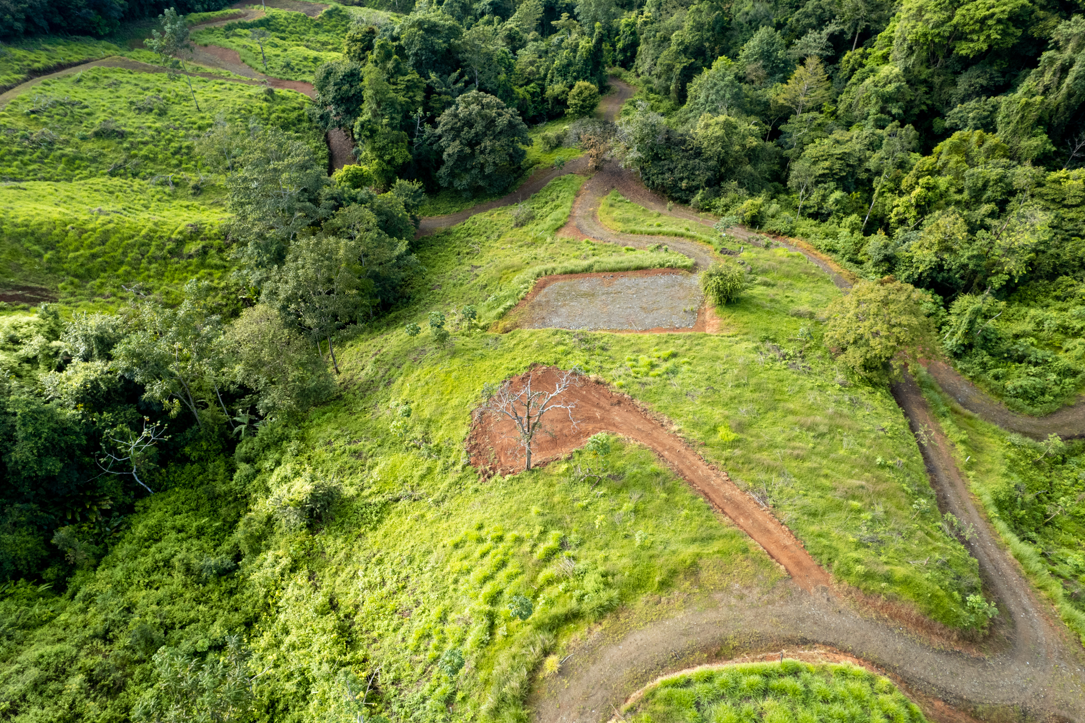 0 bed Land For Sale in Dominical, Puntarenas - thumb 14