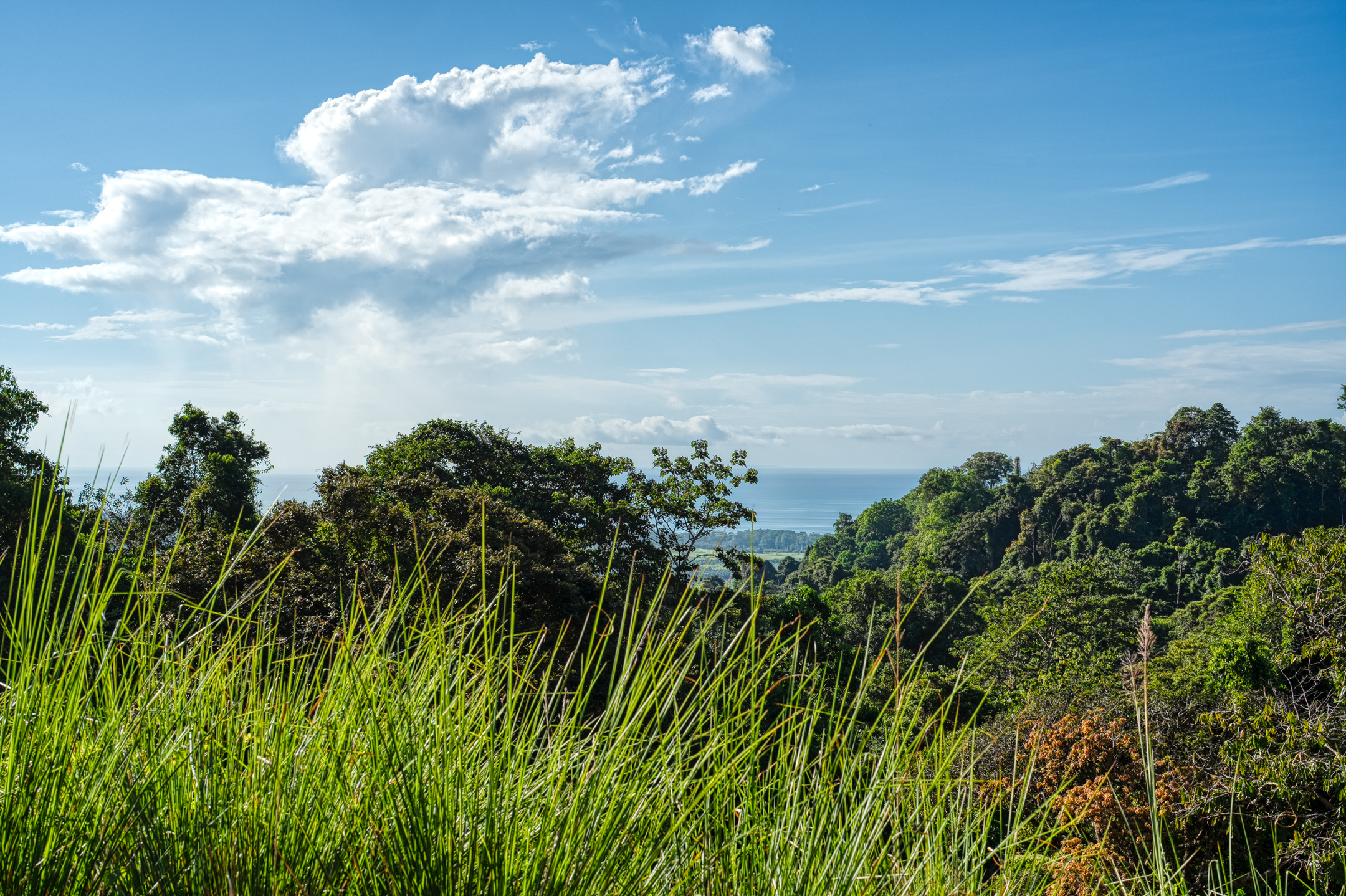 0 bed Land For Sale in Dominical, Puntarenas - thumb 24