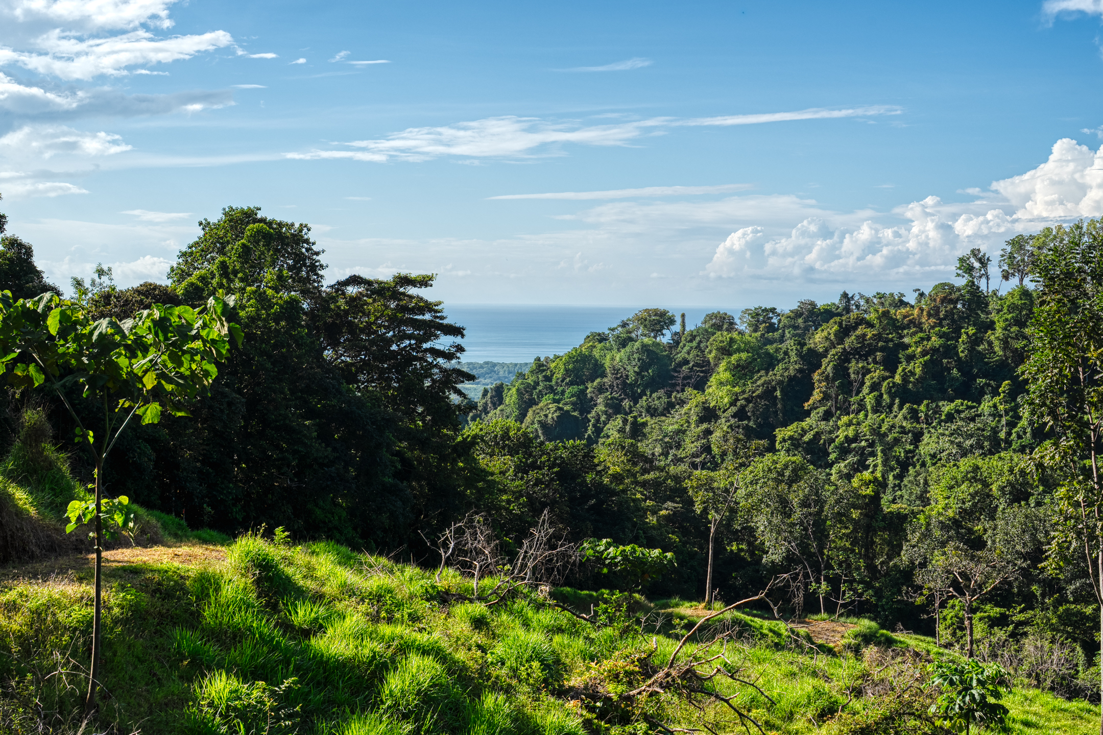 0 bed Land For Sale in Dominical, Puntarenas - thumb 10