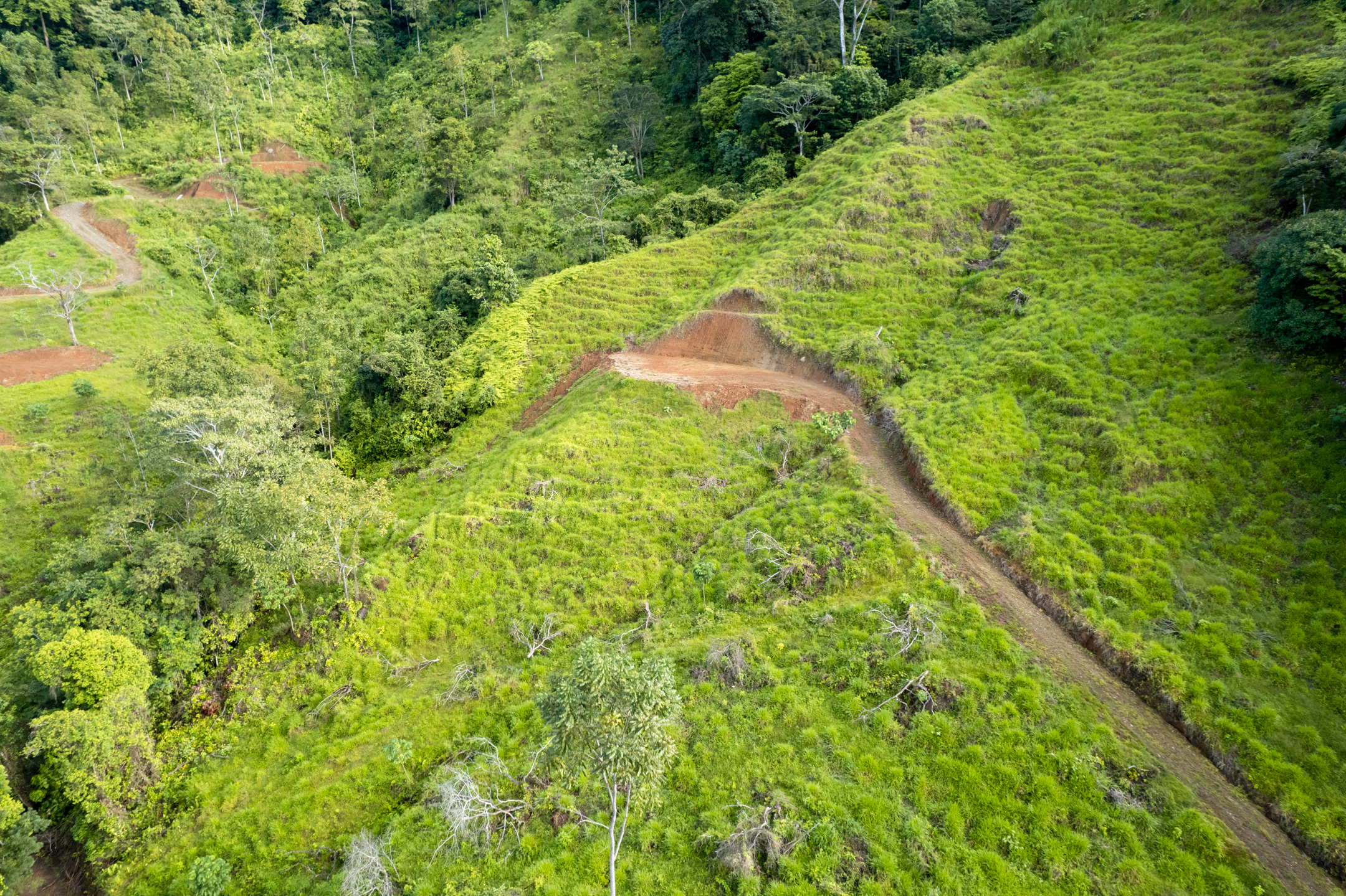 0 bed Land For Sale in Dominical, Puntarenas - thumb 3