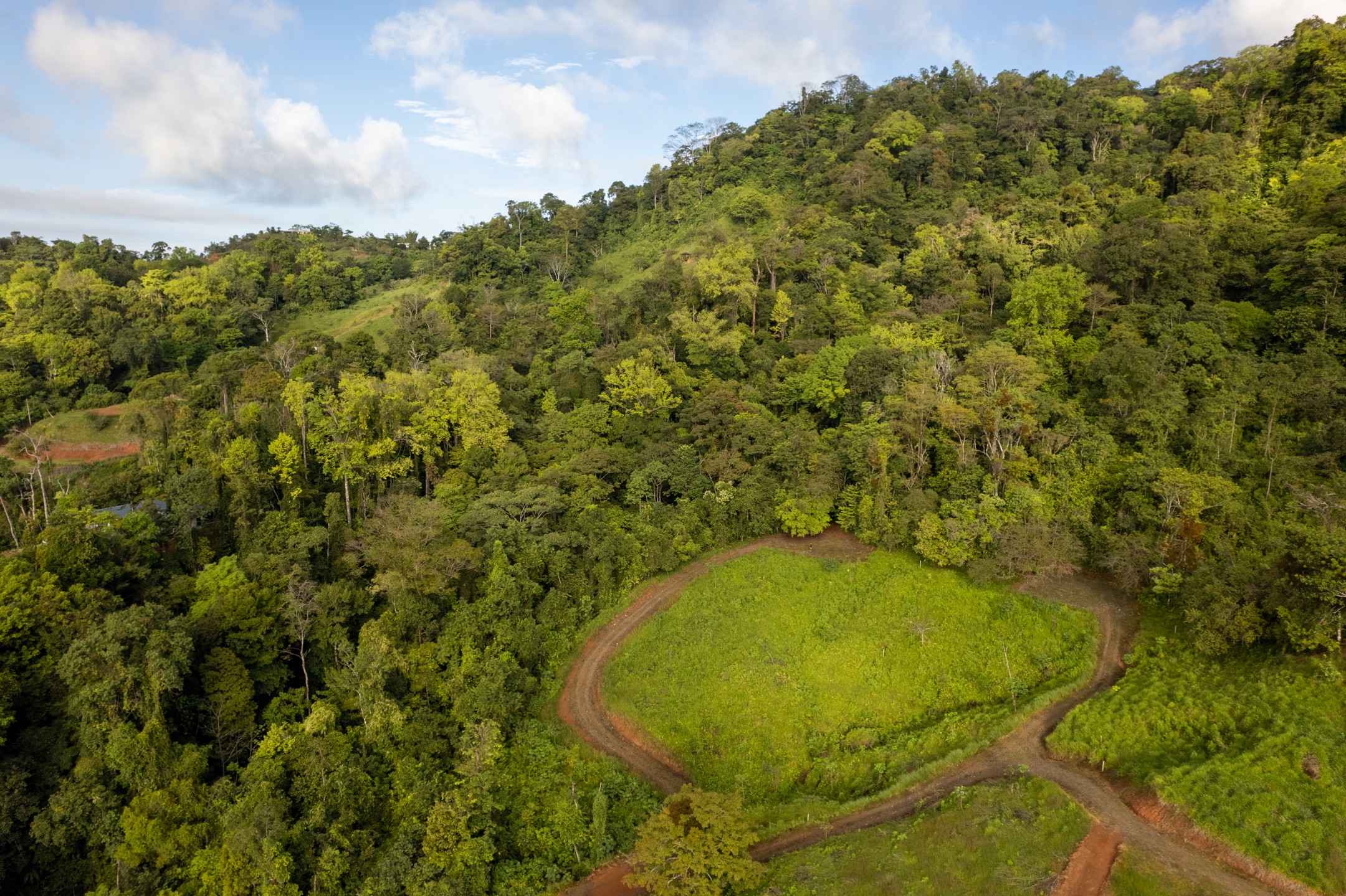 0 bed Land For Sale in Dominical, Puntarenas - thumb 20