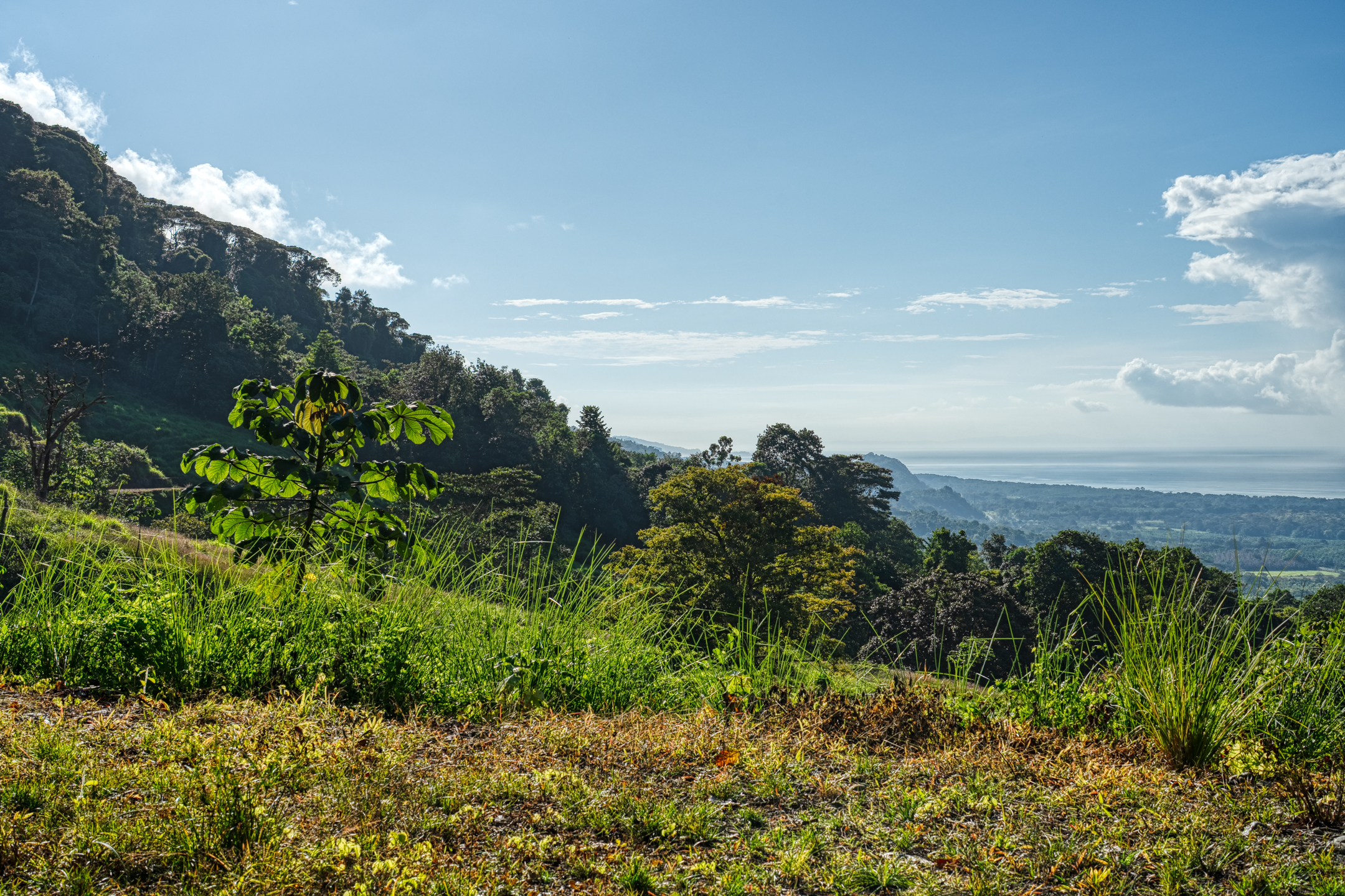0 bed Land For Sale in Dominical, Puntarenas - thumb 21