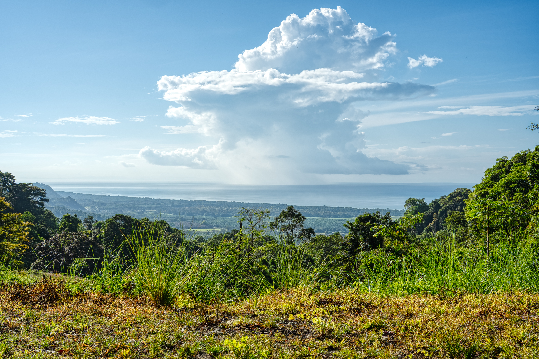 0 bed Land For Sale in Dominical, Puntarenas - thumb 1