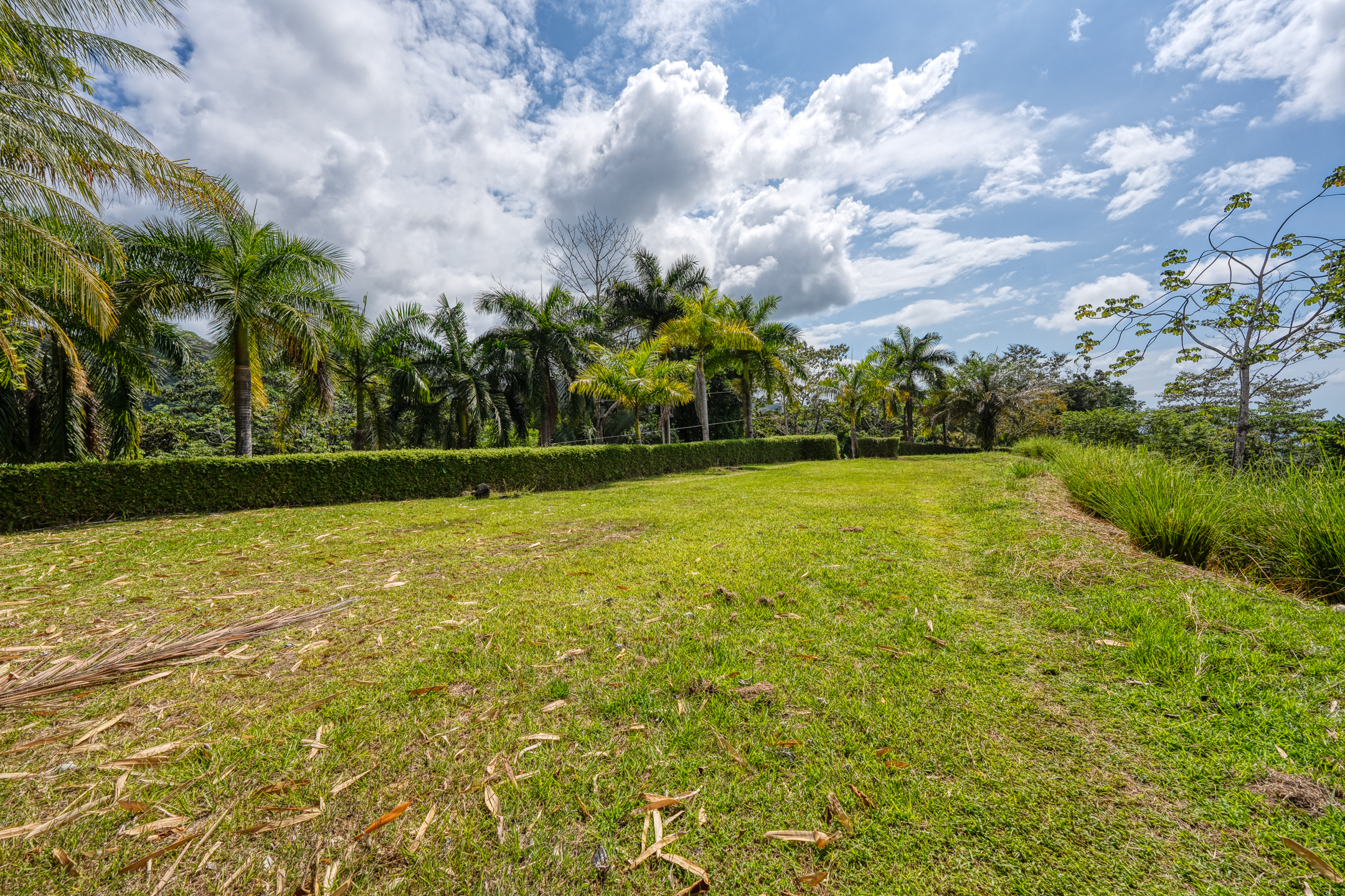 0 bed Land For Sale in Dominical, Puntarenas - thumb 19