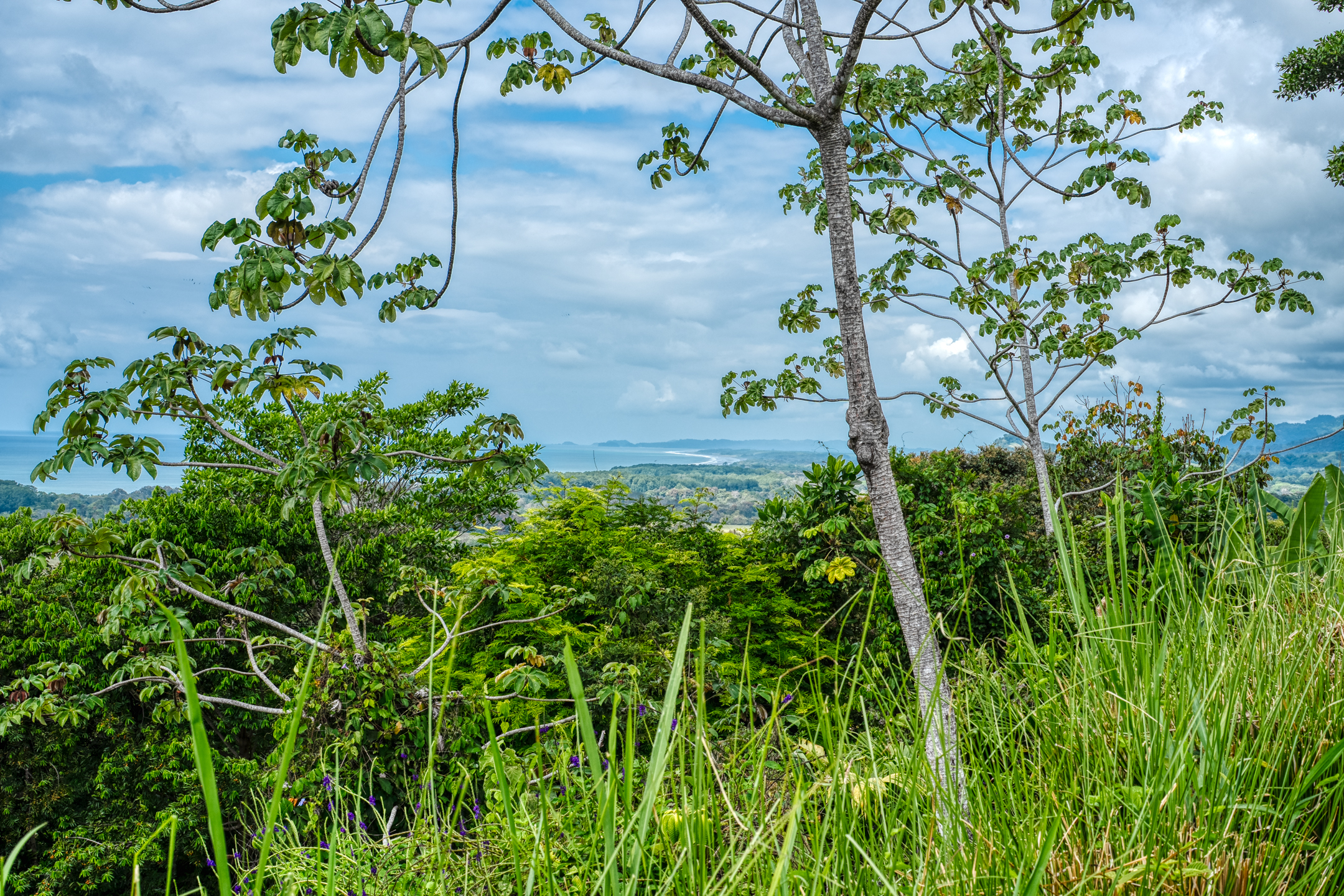 0 bed Land For Sale in Dominical, Puntarenas - thumb 16