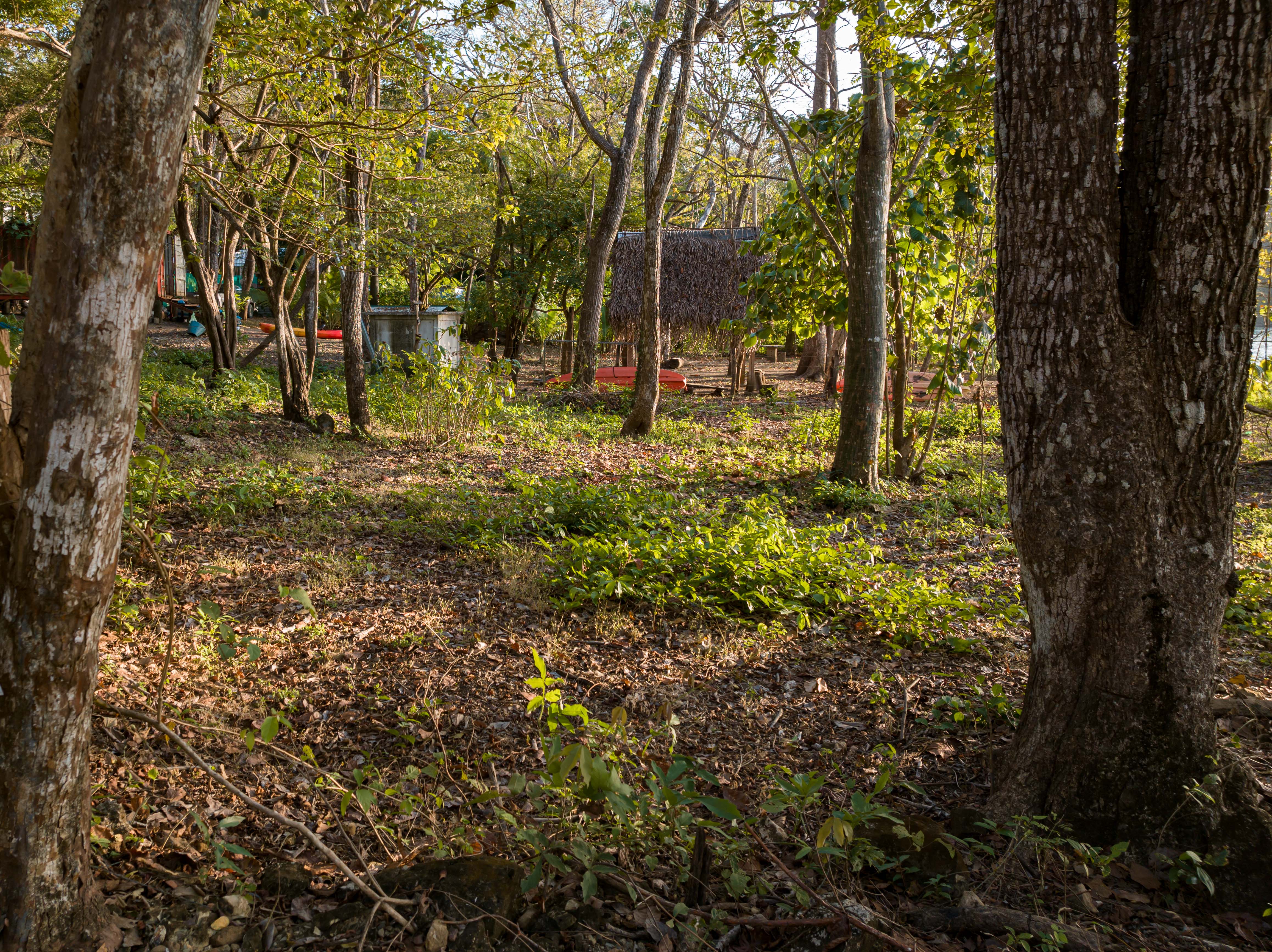 0 bed Land For Sale in Nosara, Guanacaste - thumb 11