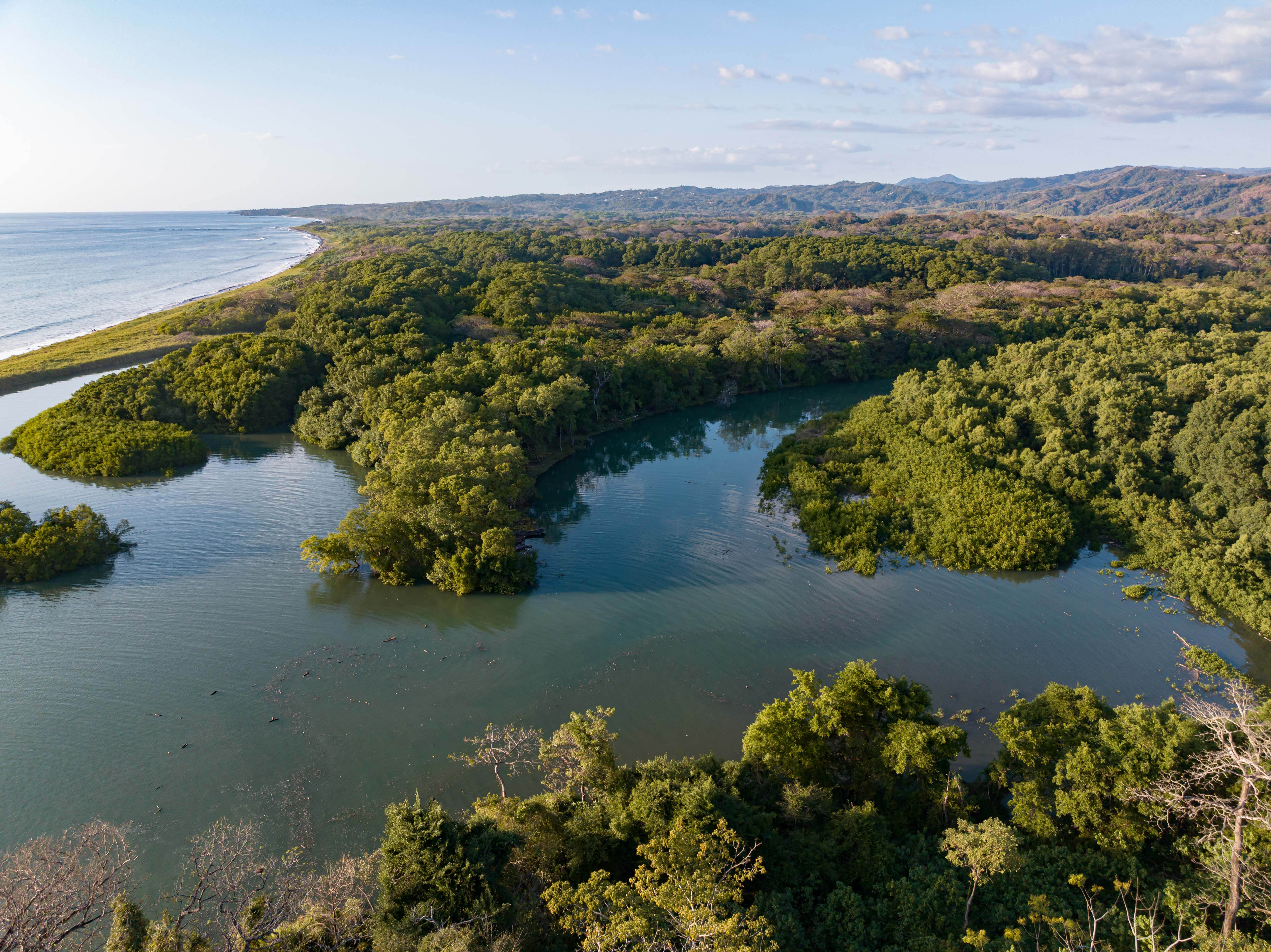 0 bed Land For Sale in Nosara, Guanacaste - thumb 8