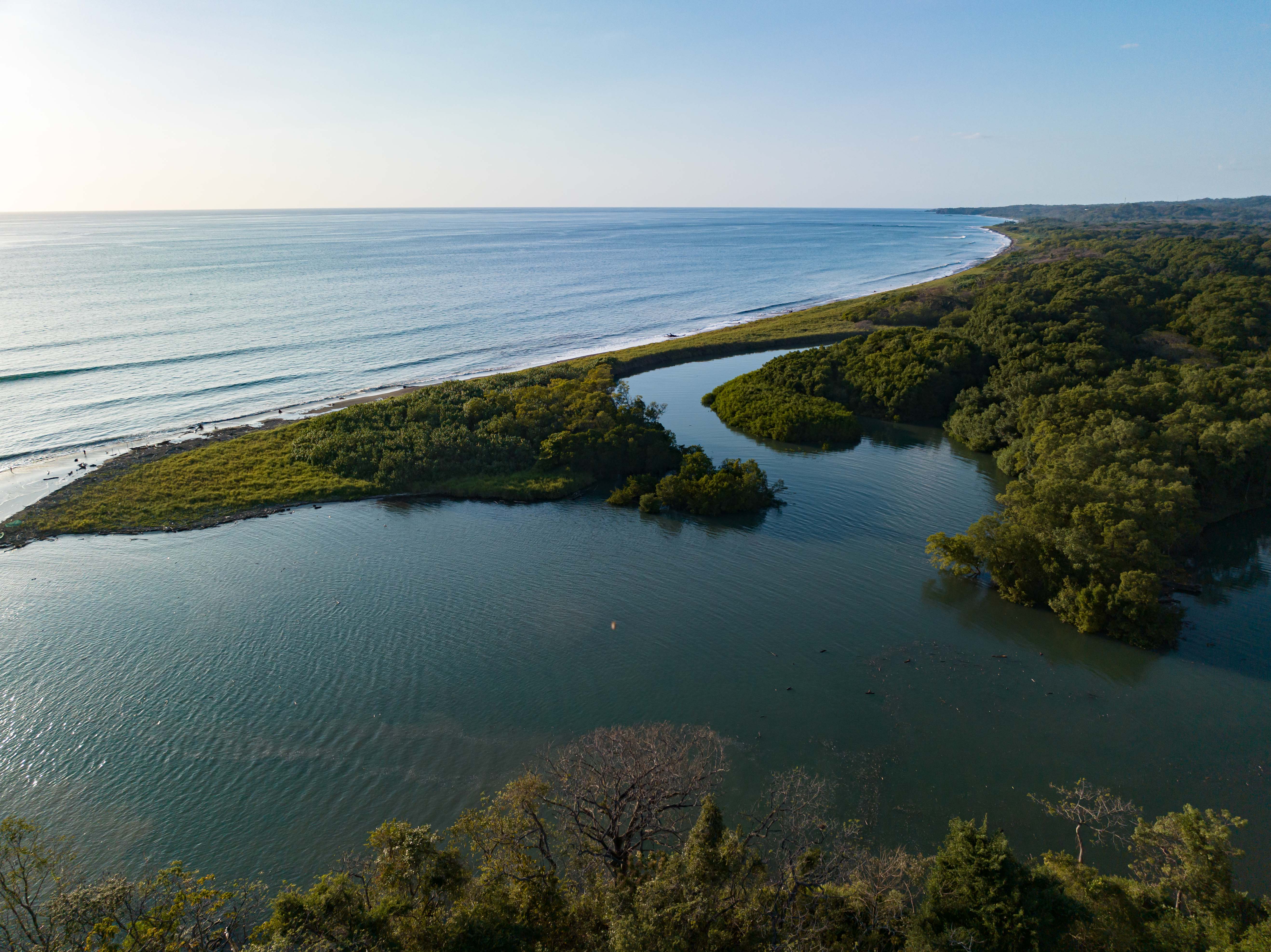 0 bed Land For Sale in Nosara, Guanacaste - thumb 9