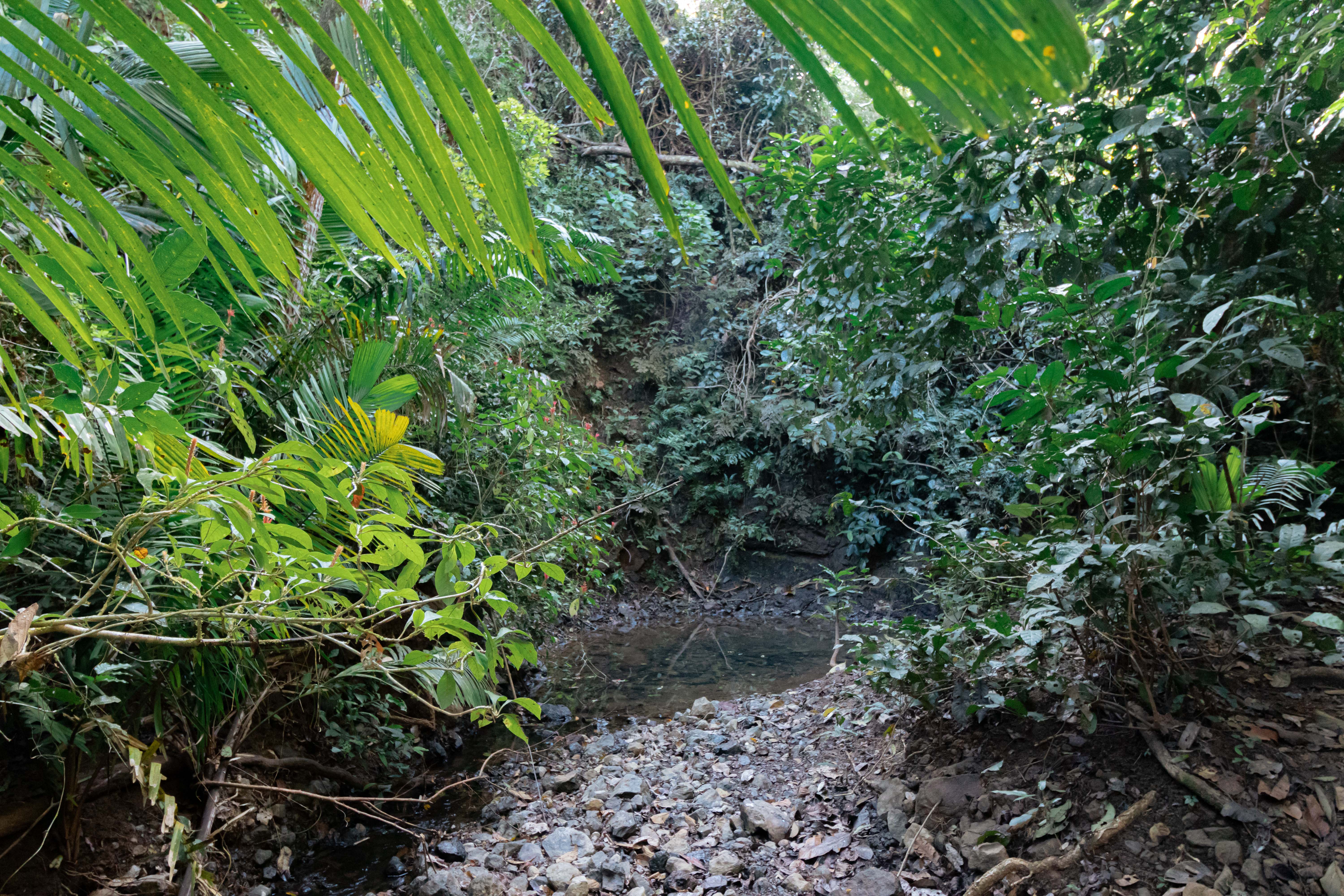 0 bed Land For Sale in Ostional, Guanacaste - thumb 12