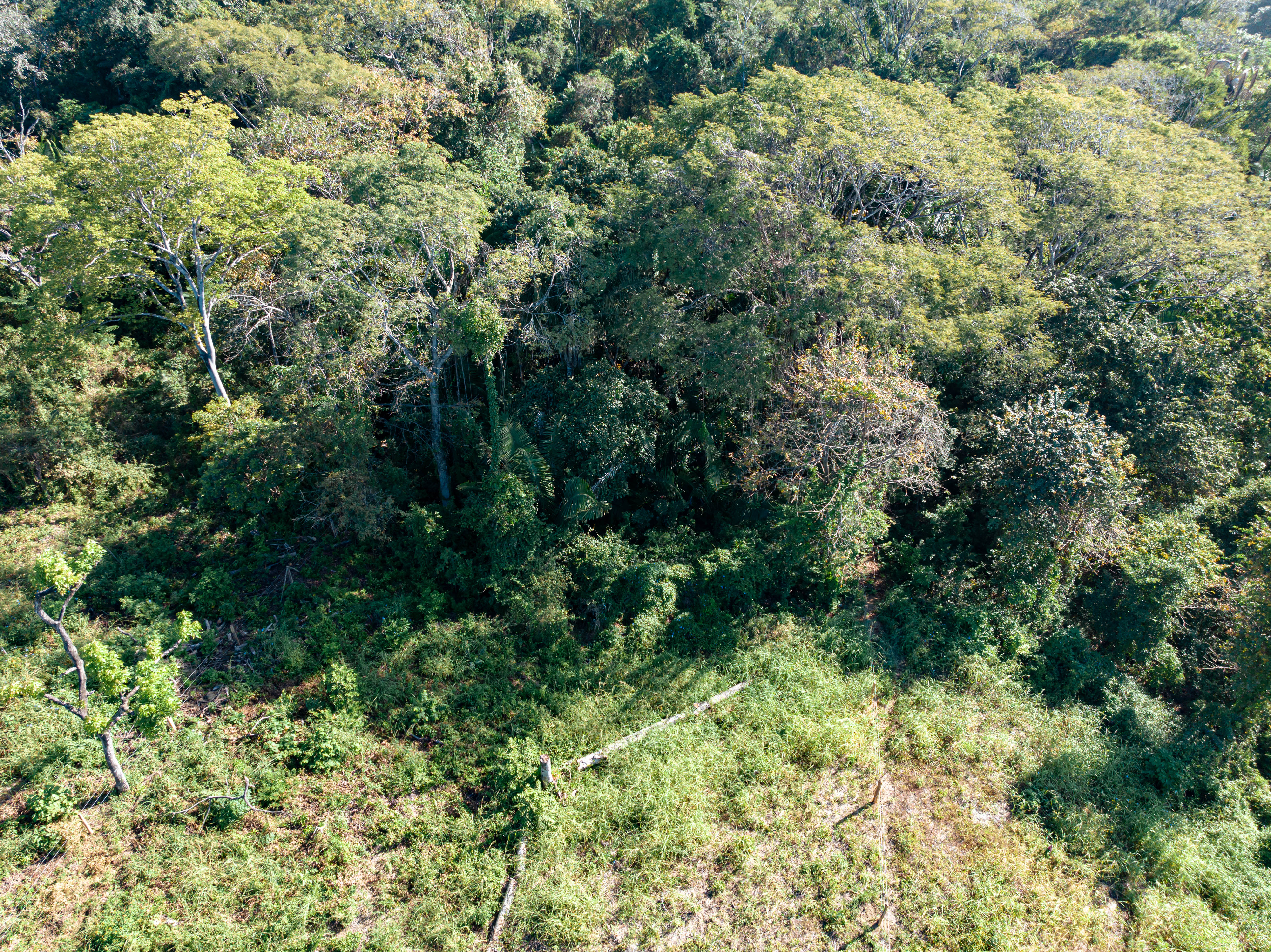 0 bed Land For Sale in Ostional, Guanacaste - thumb 3