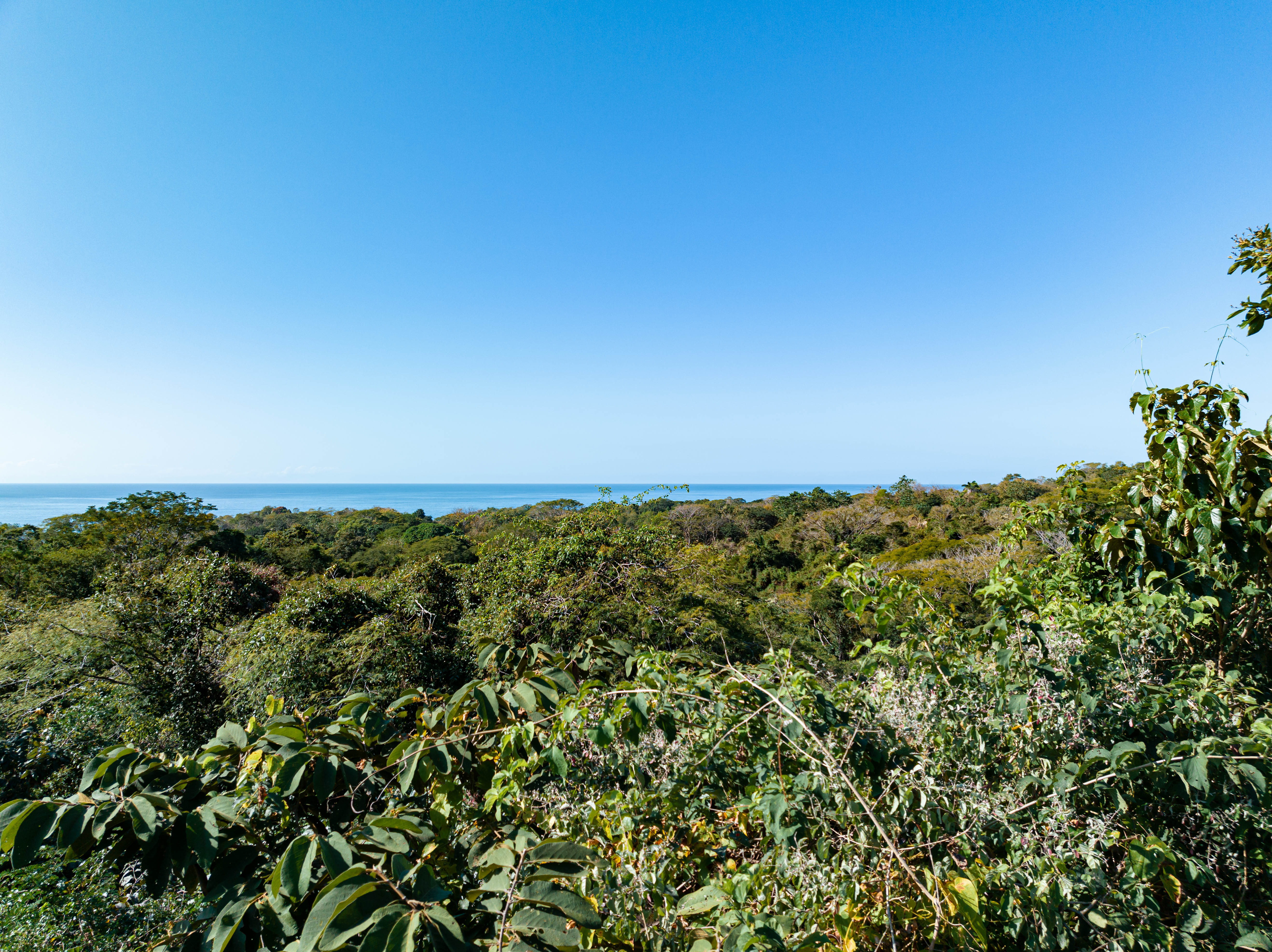 0 bed Land For Sale in Ostional, Guanacaste - thumb 7