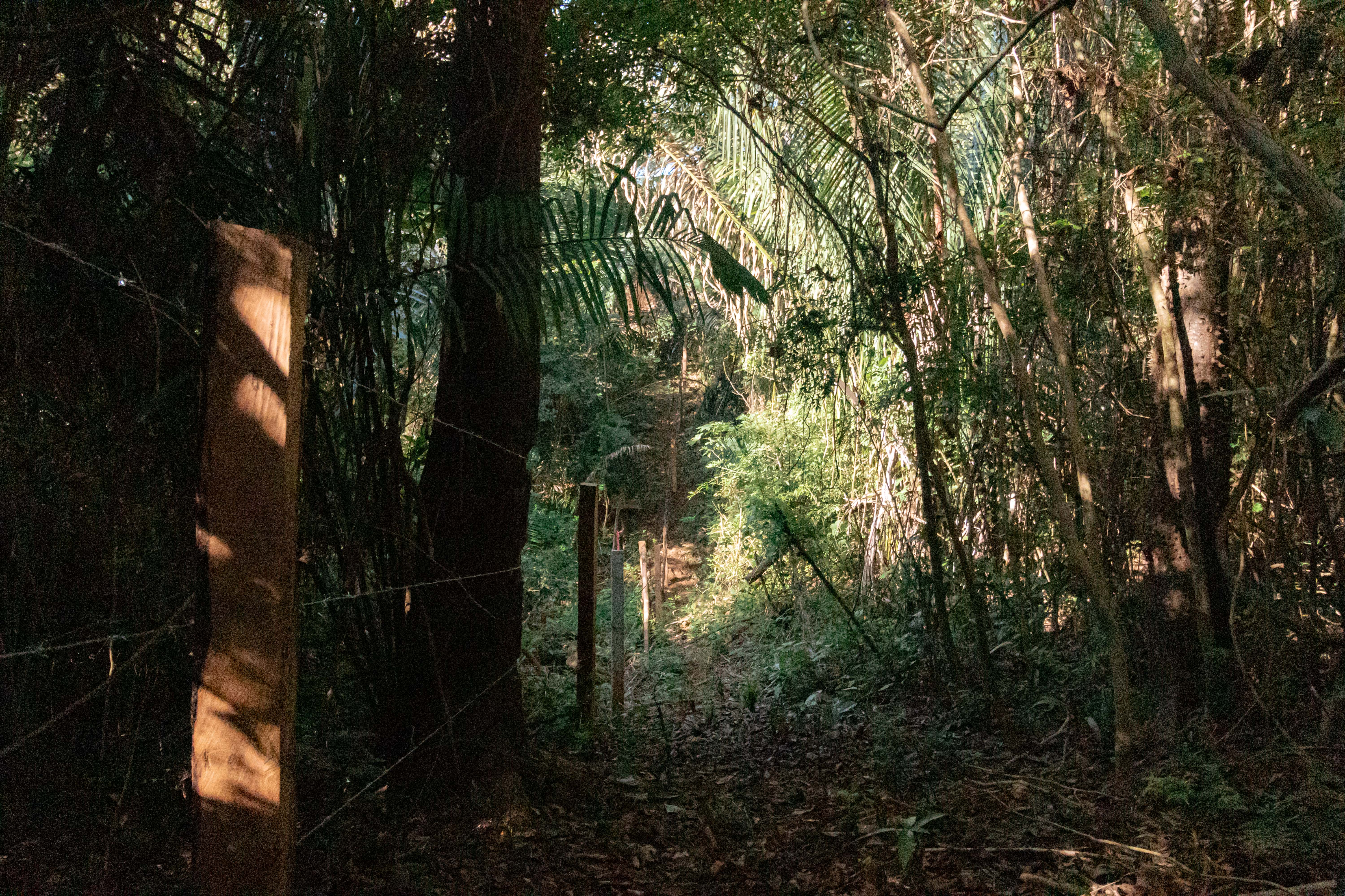 0 bed Land For Sale in Ostional, Guanacaste - thumb 10