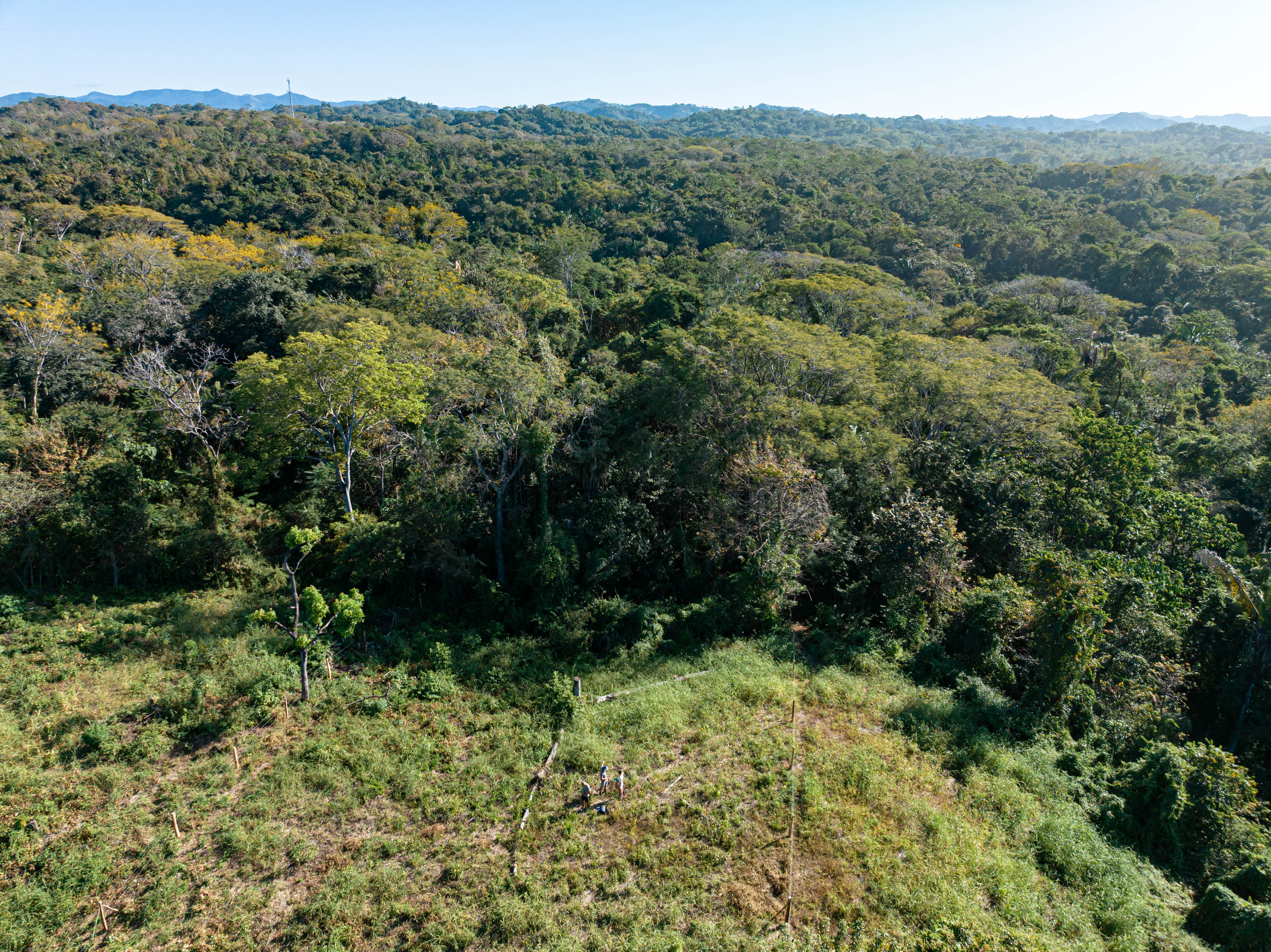 0 bed Land For Sale in Ostional, Guanacaste - thumb 4