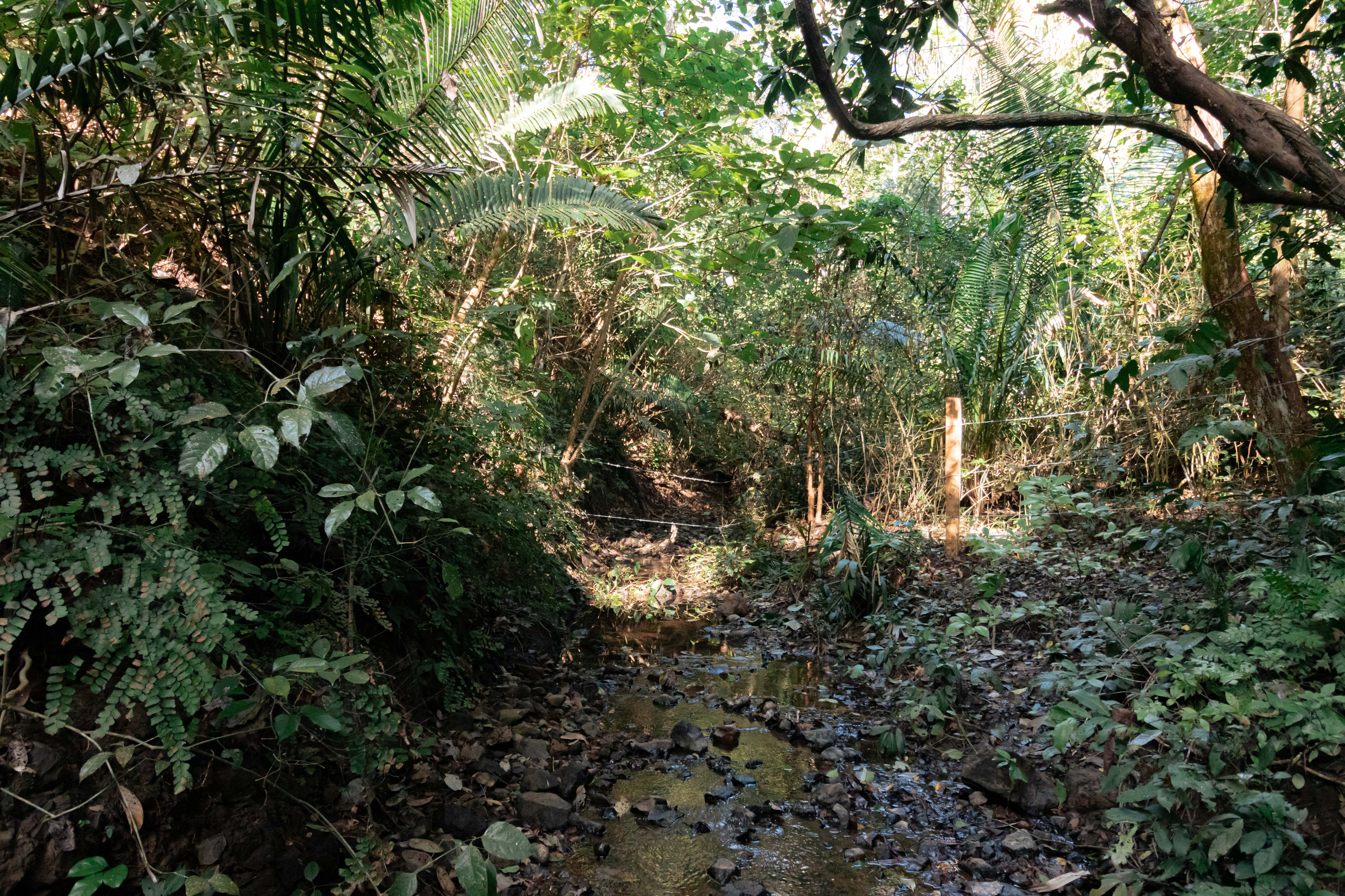 0 bed Land For Sale in Ostional, Guanacaste - thumb 11