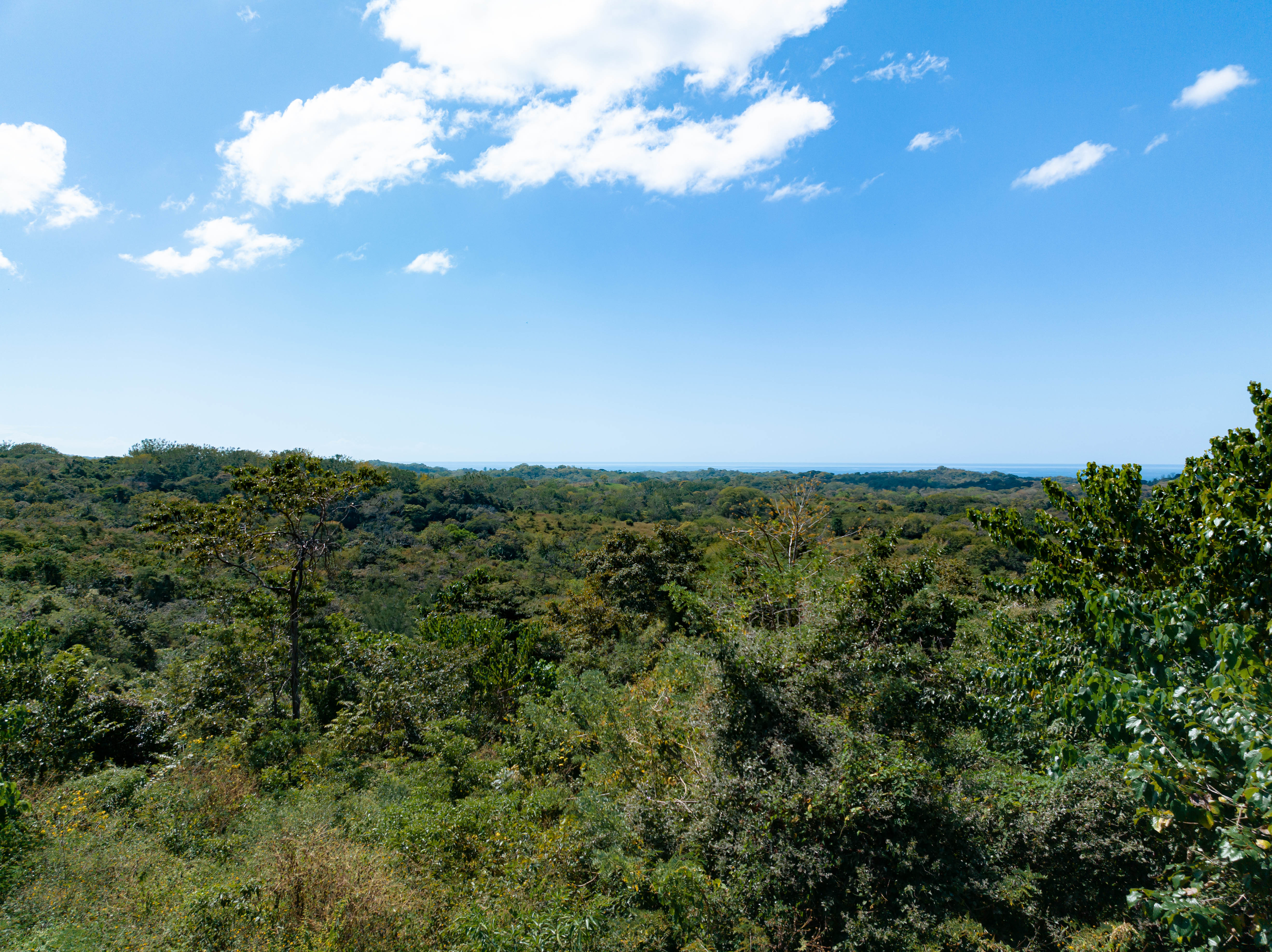 0 bed Land For Sale in Ostional, Guanacaste - thumb 9
