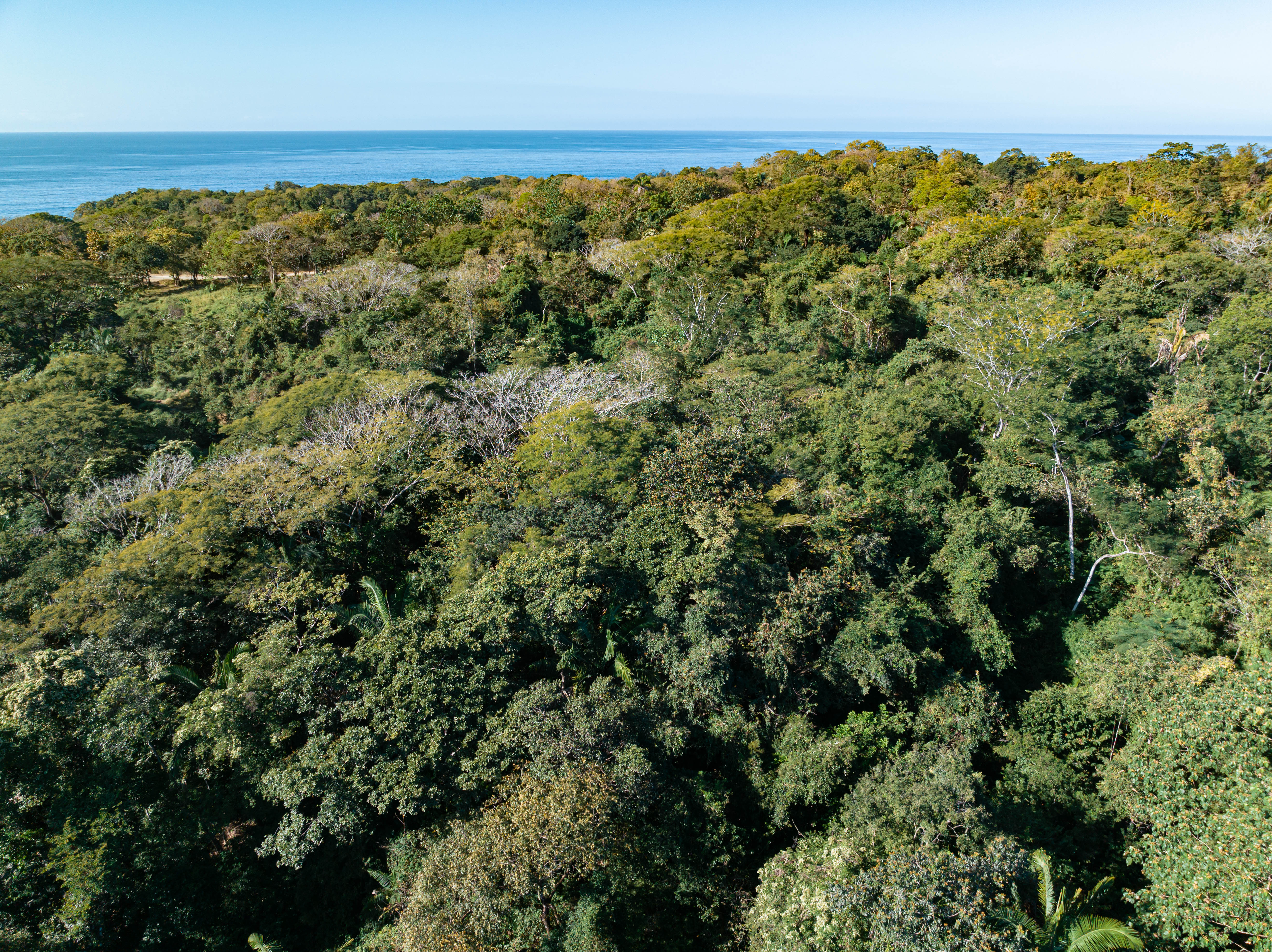 0 bed Land For Sale in Ostional, Guanacaste - thumb 5