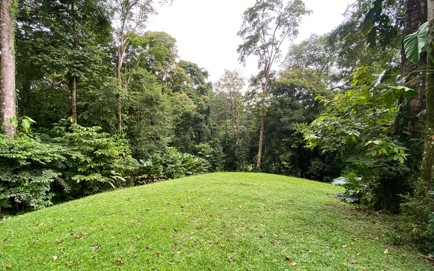 0 bed Land For Sale in Uvita, Puntarenas - thumb 26