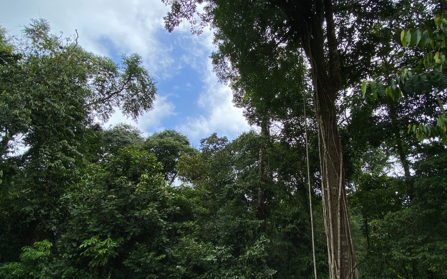 0 bed Land For Sale in Uvita, Puntarenas - thumb 5