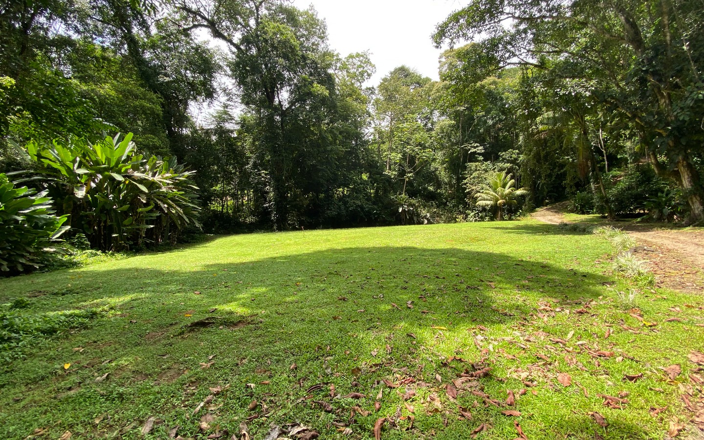 0 bed Land For Sale in Uvita, Puntarenas - thumb 13