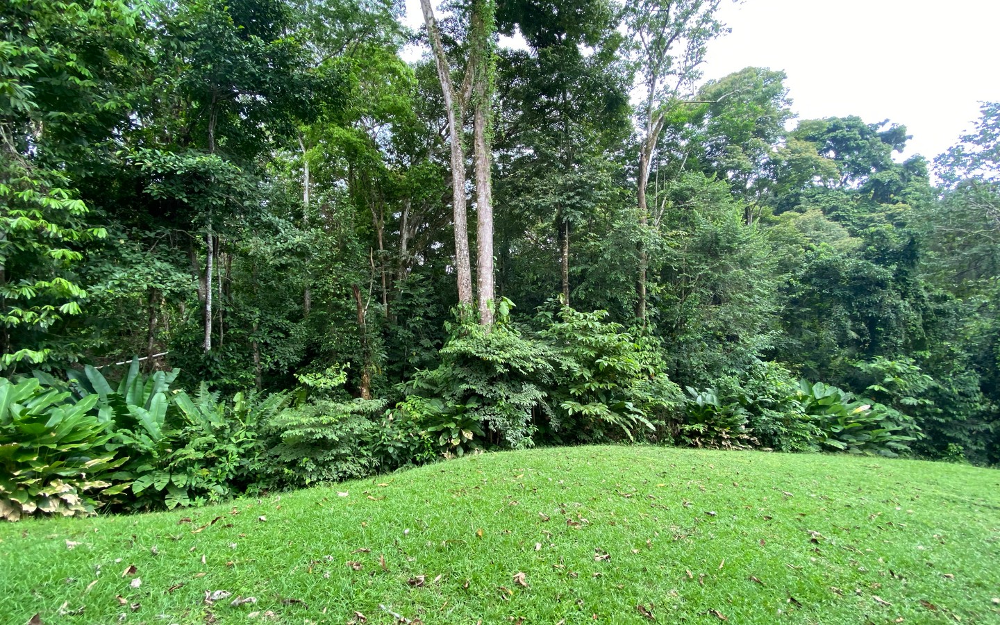 0 bed Land For Sale in Uvita, Puntarenas - thumb 20